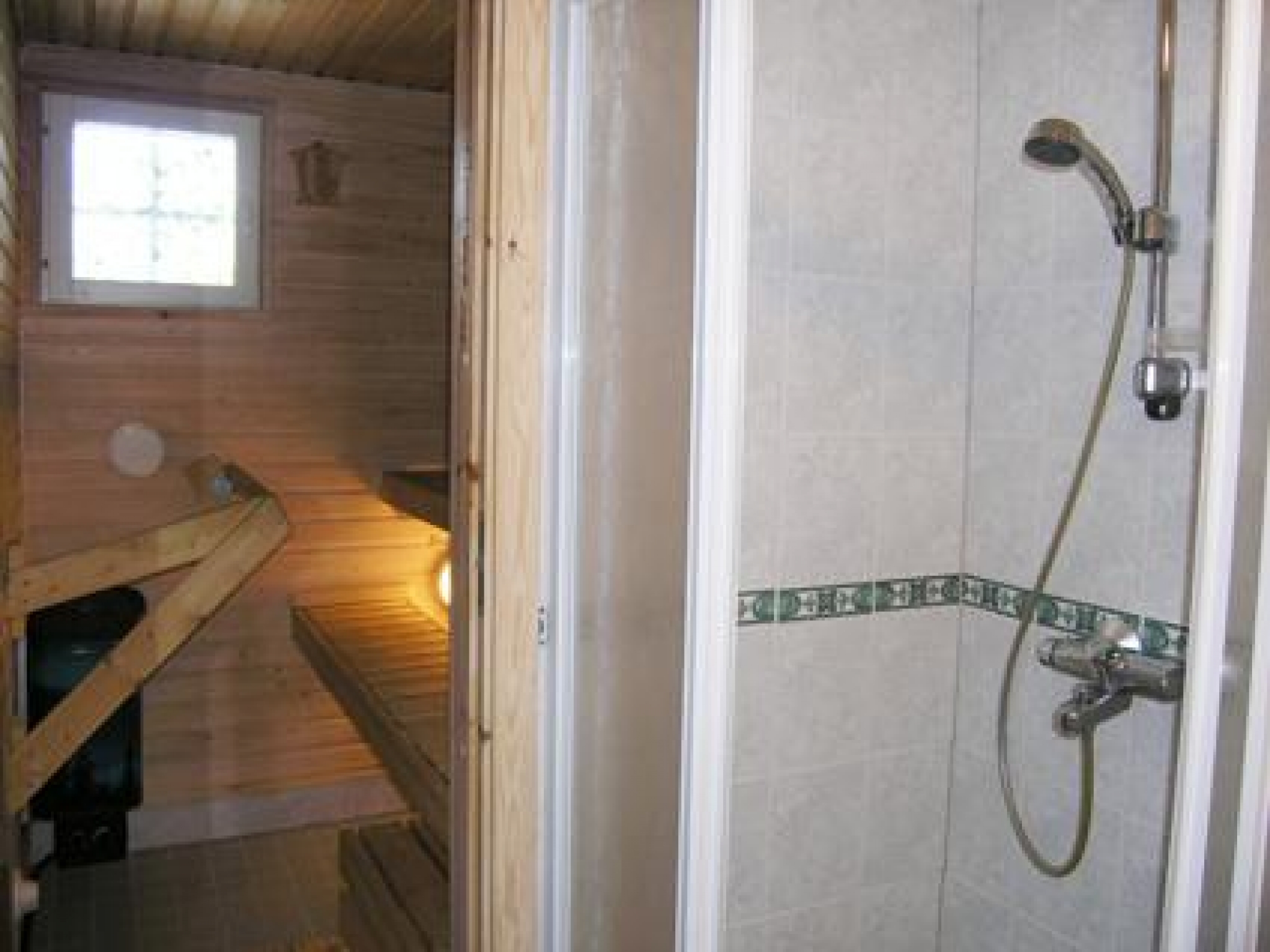 Sinivuokko
