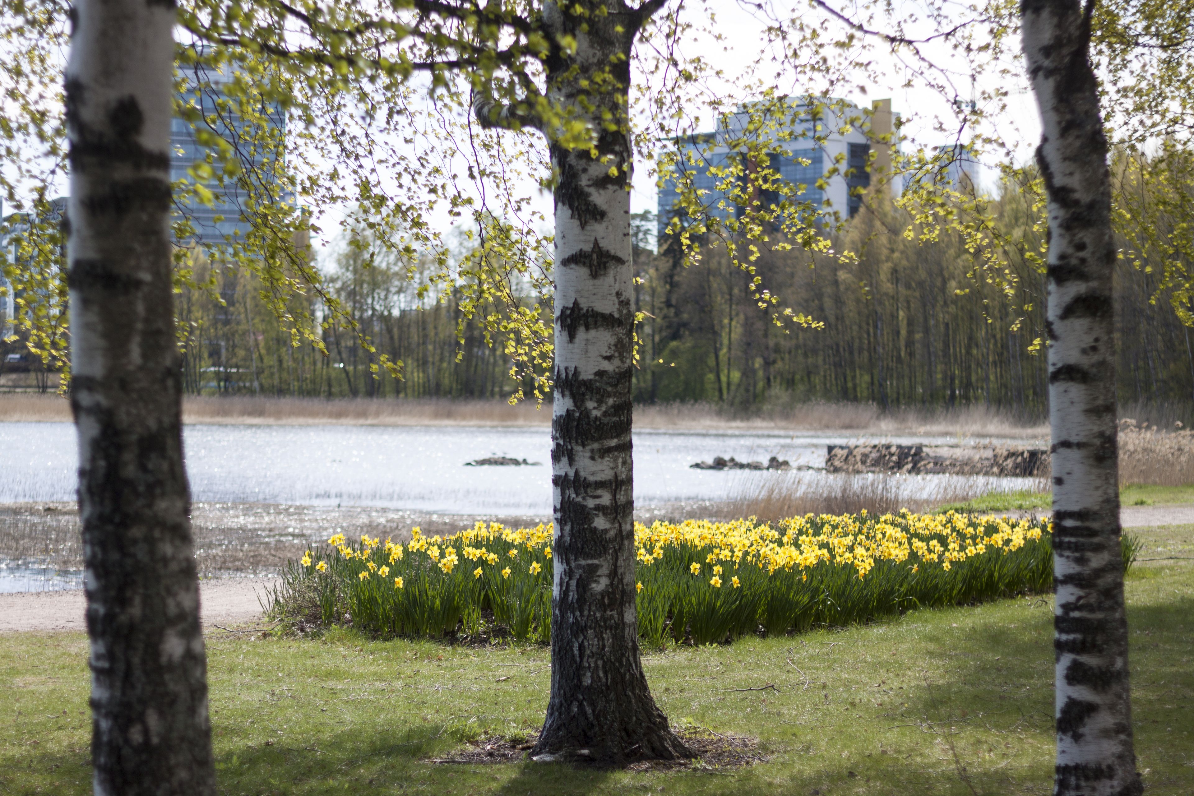 Radisson Blu Hotel, Espoo