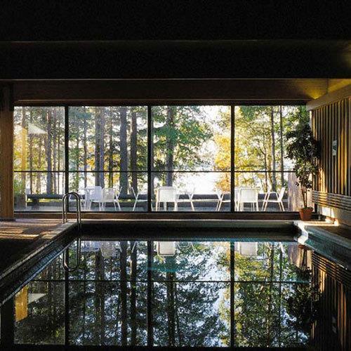 Hanasaari-hanaholmen