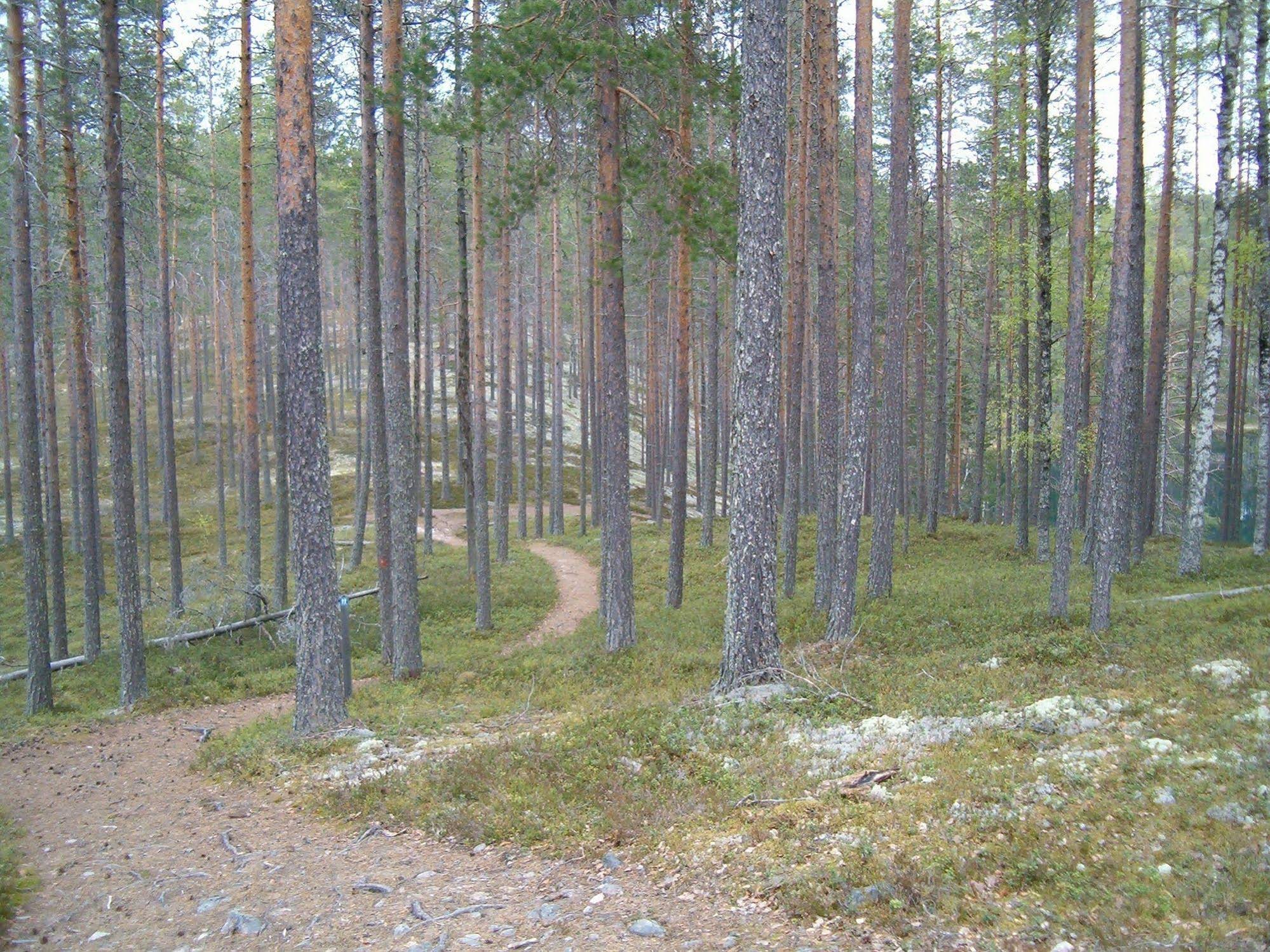 Manamansalo Camping