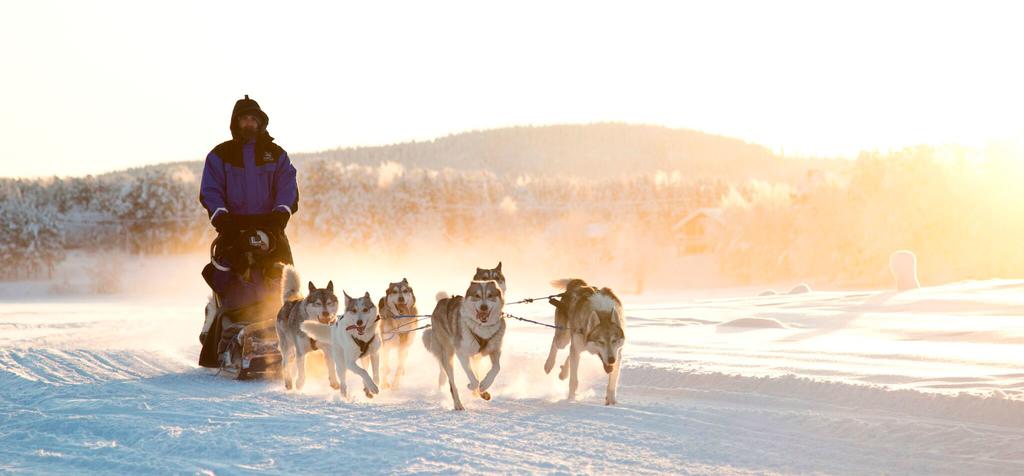 Northern Lights Village Levi