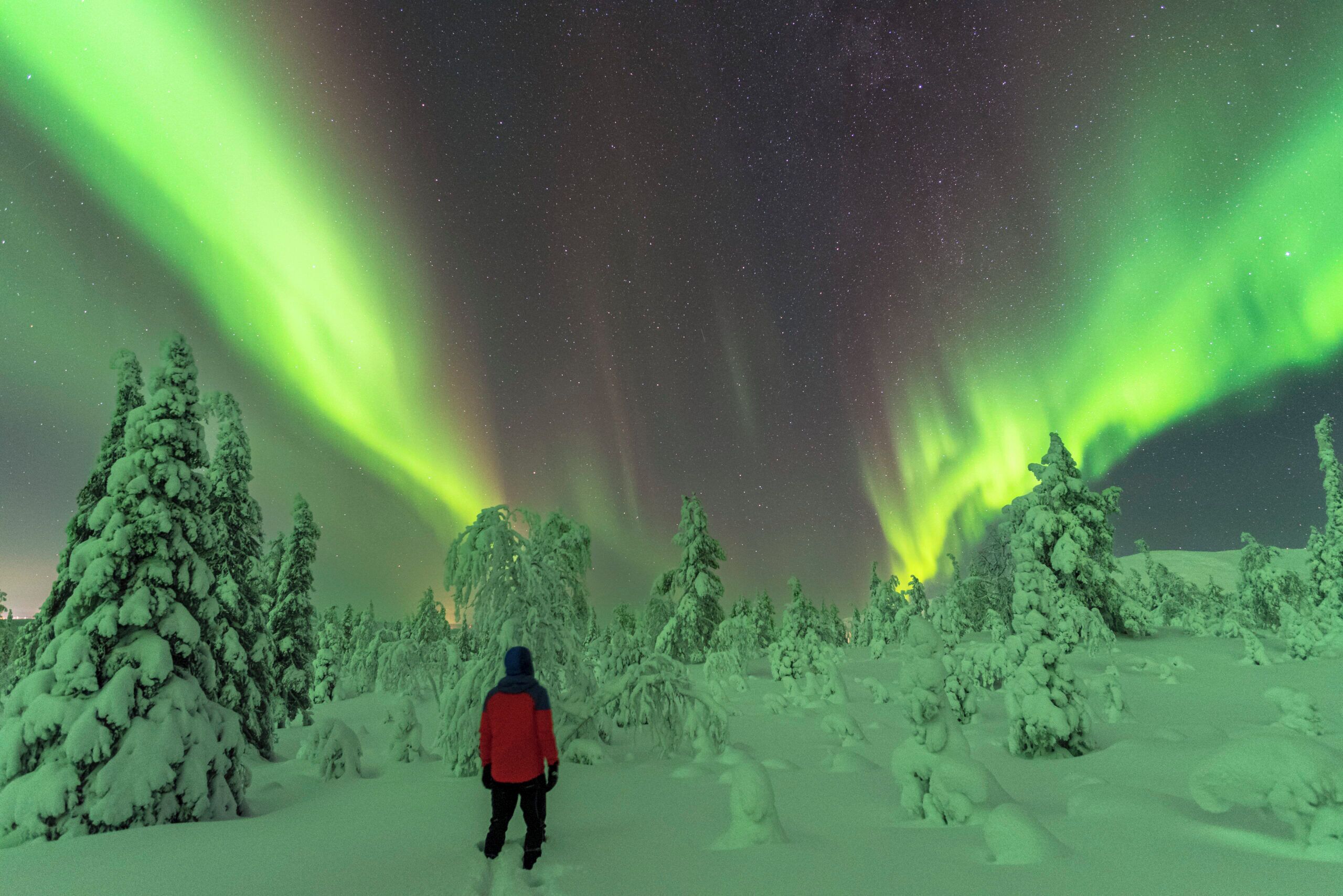 Arctic Lumo Resort