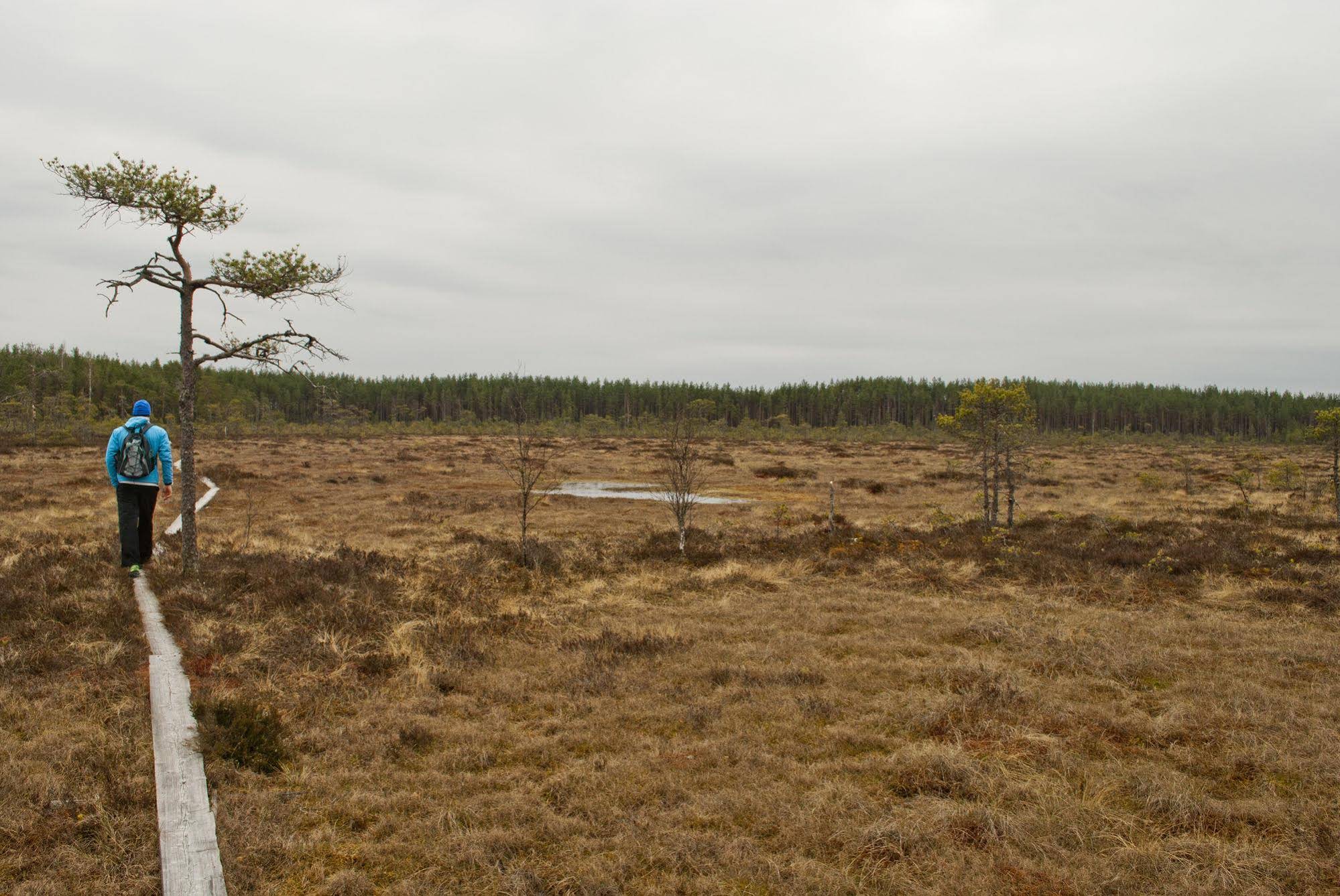 Kirjakkalan Ruukkikylä