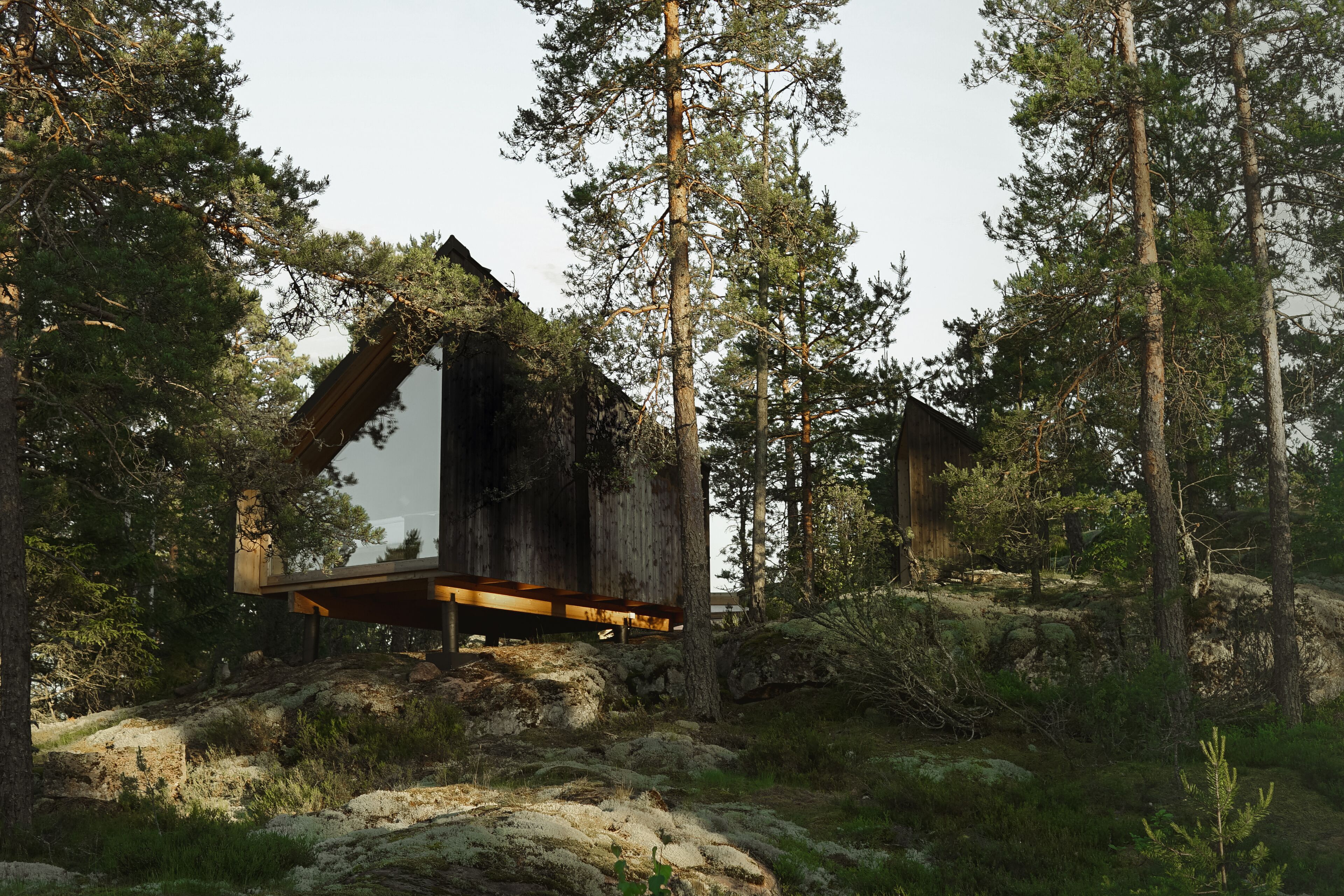 Hilltop Forest