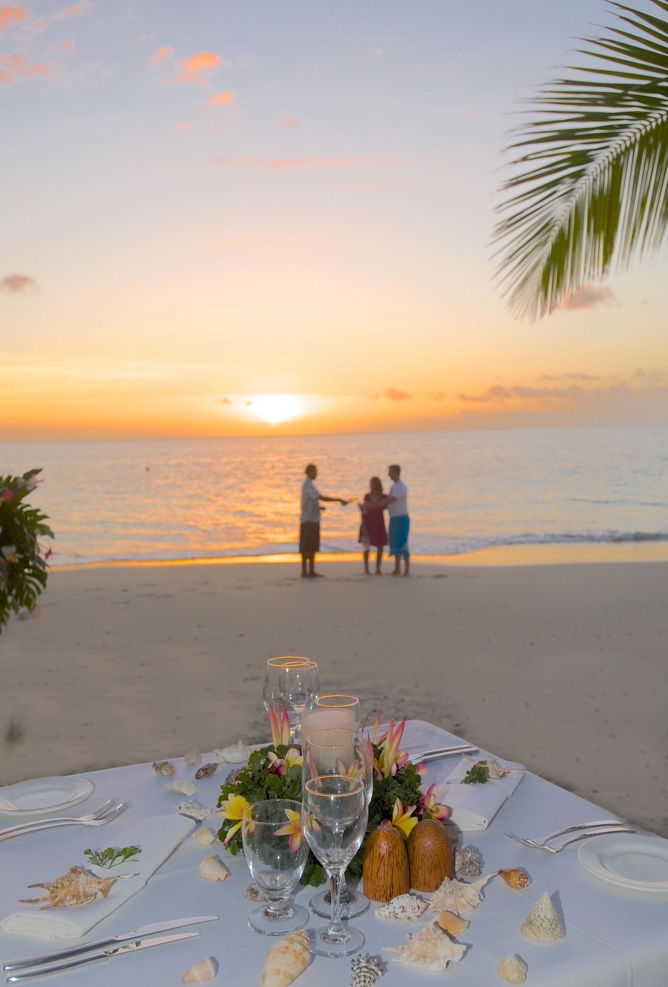 Castaway Island, Fiji