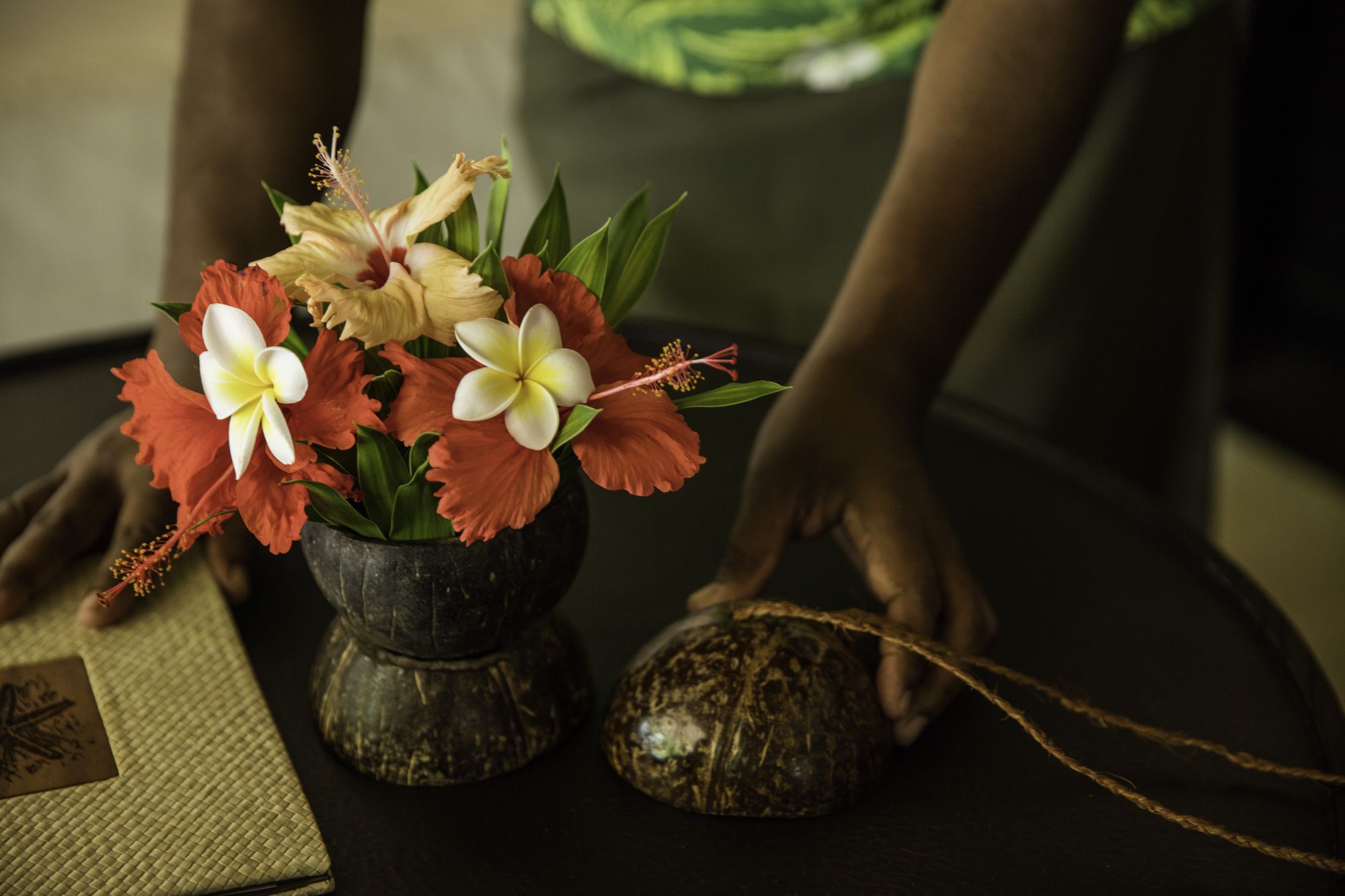 Castaway Island, Fiji