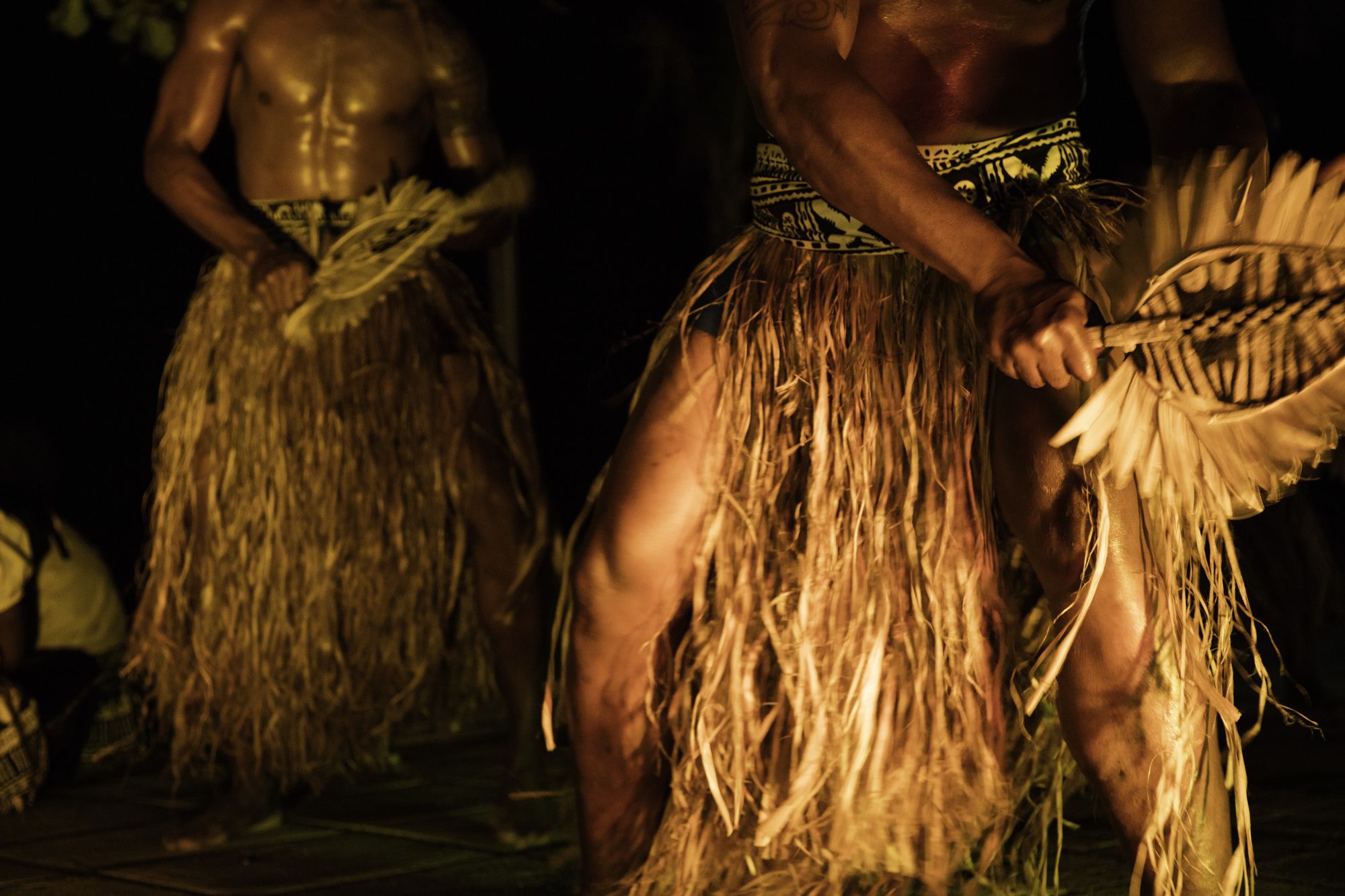 Castaway Island, Fiji