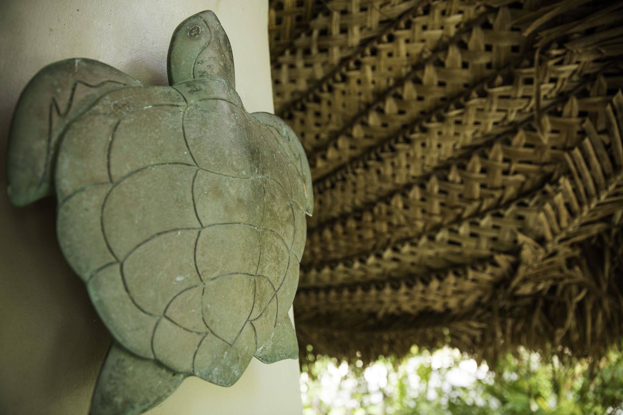 Castaway Island, Fiji