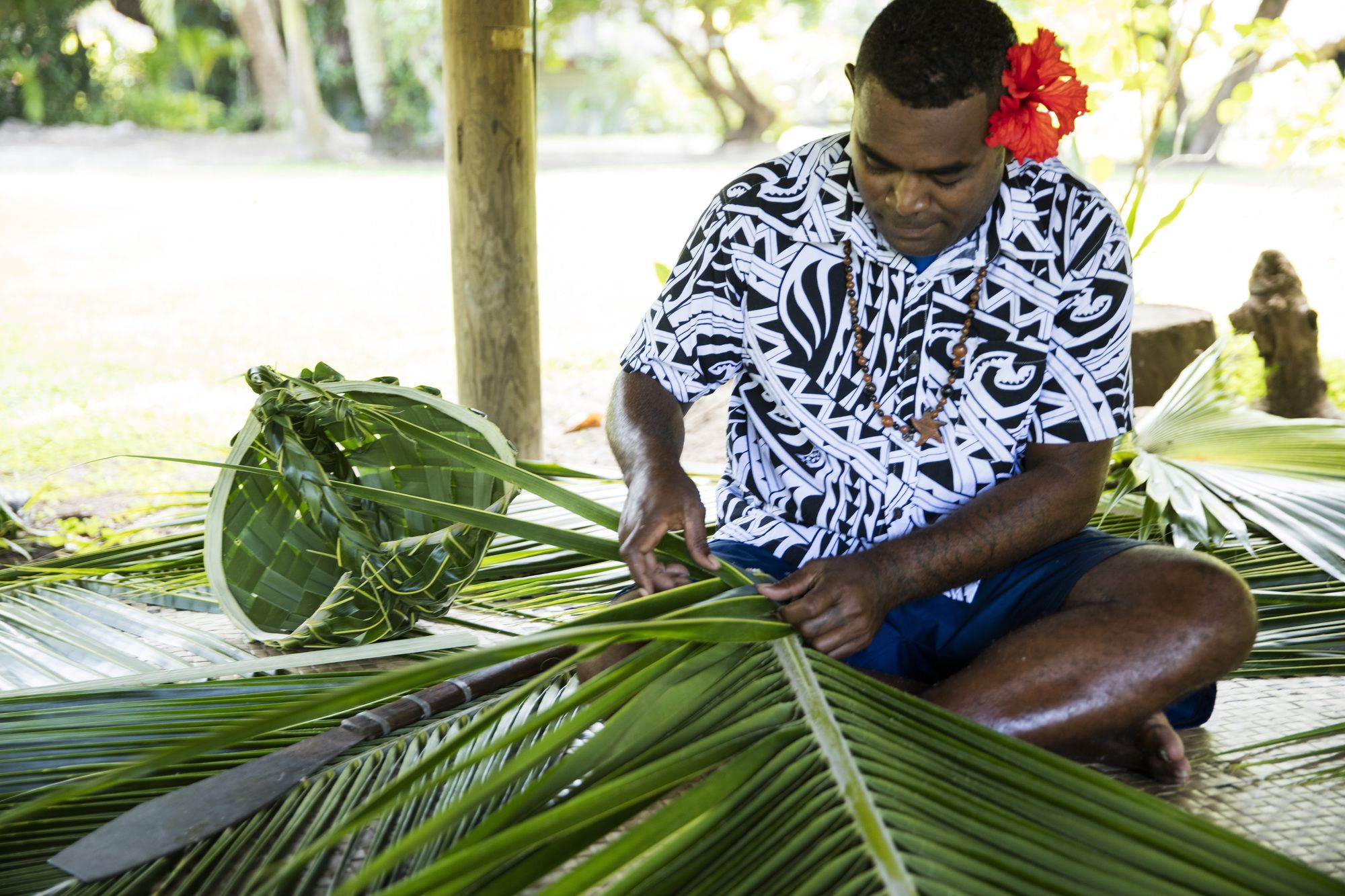 Castaway Island, Fiji