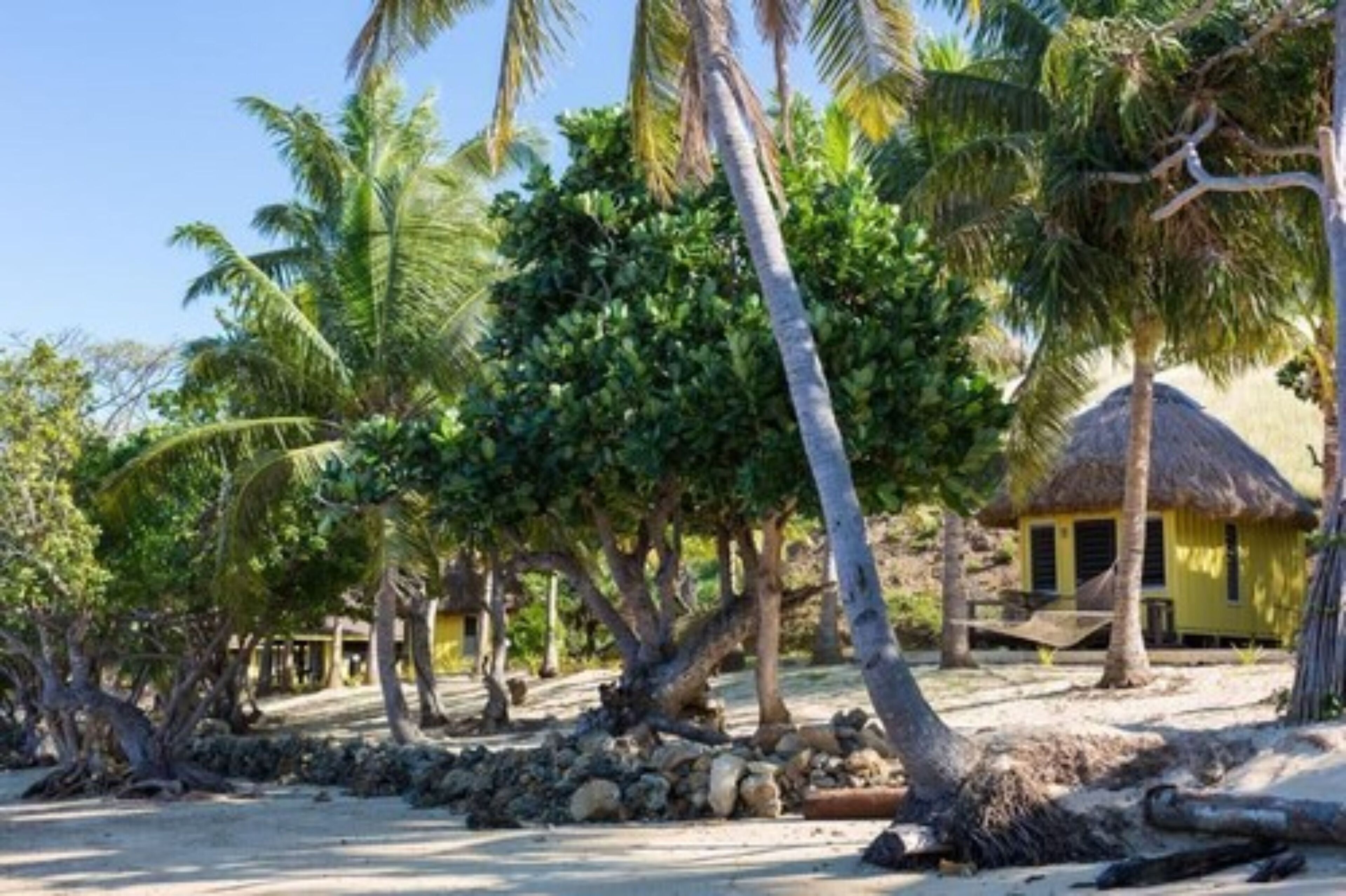 Funky Fish Beach & Surf Resort - Hostel