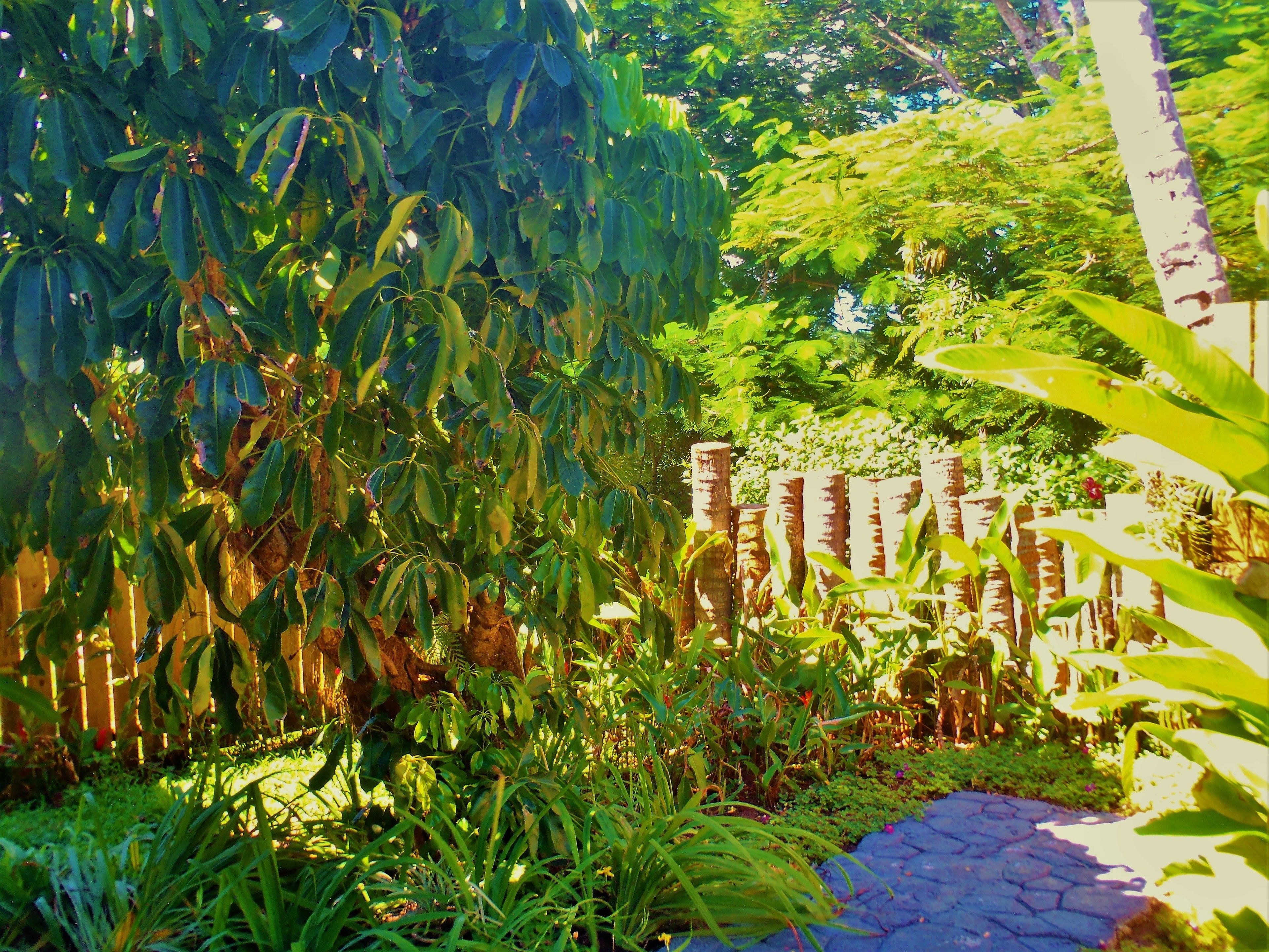 Makaira Resort
