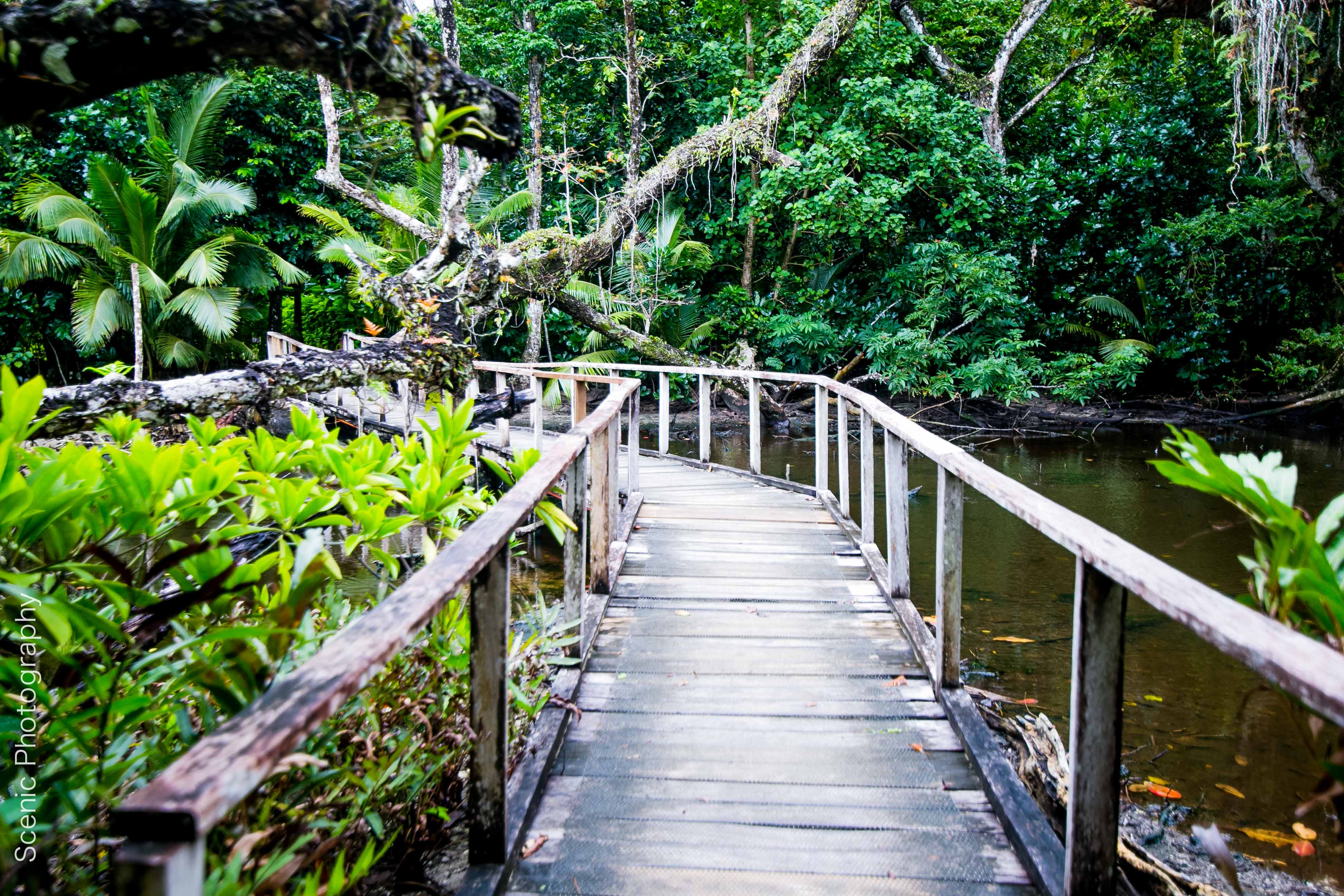 Qamea Resort & Spa