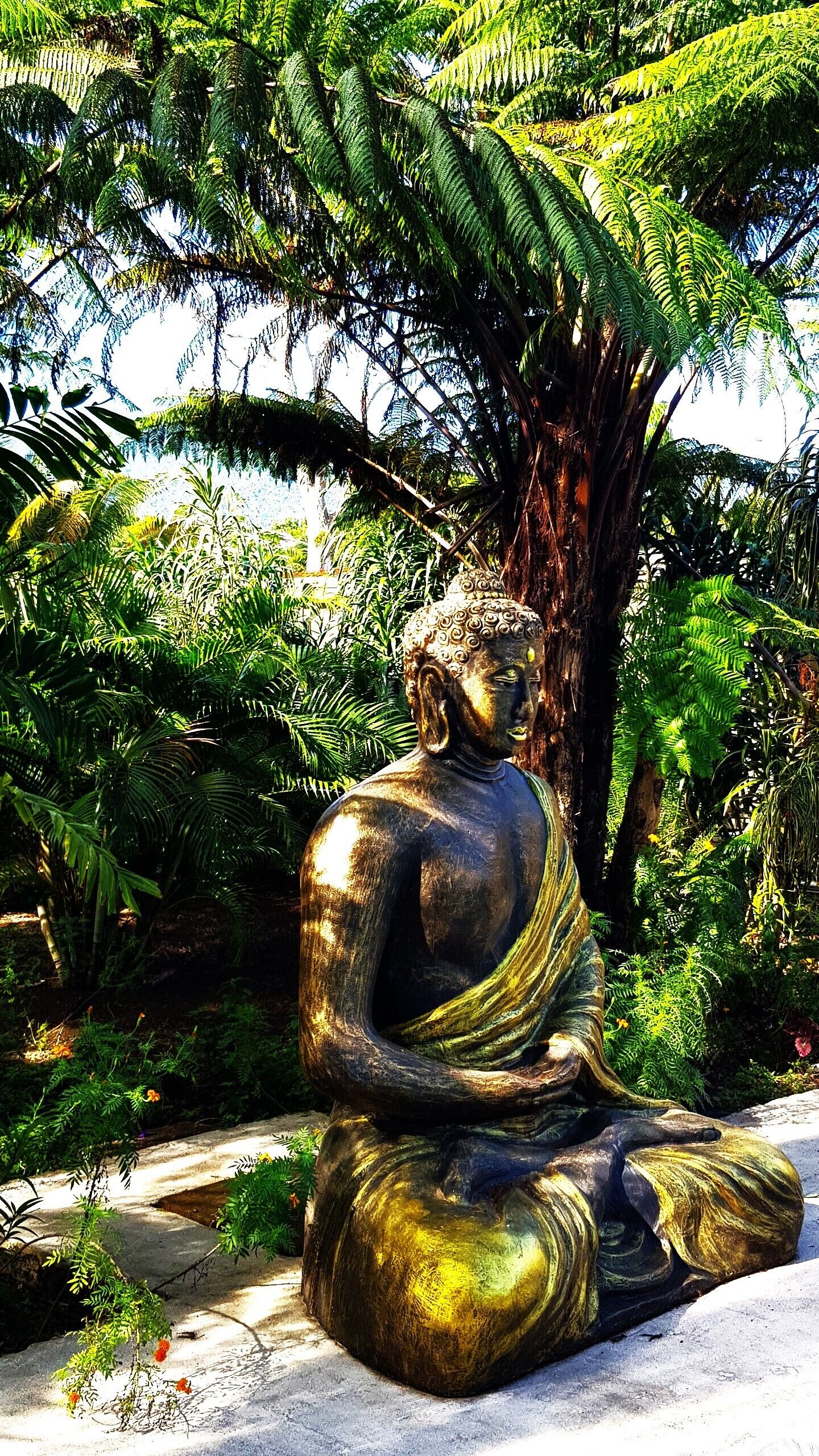 Sacred Garden Fiji
