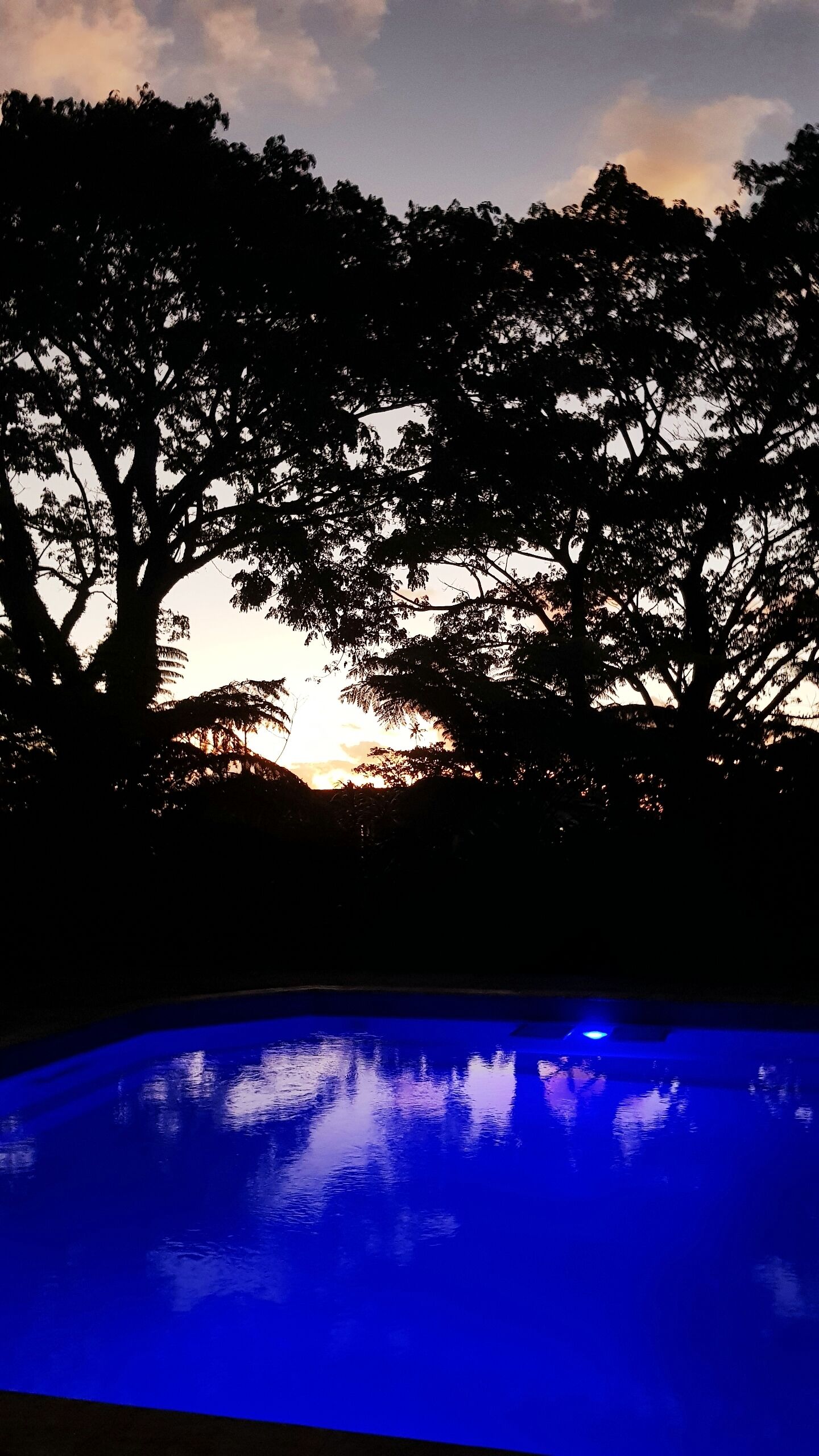 Sacred Garden Fiji