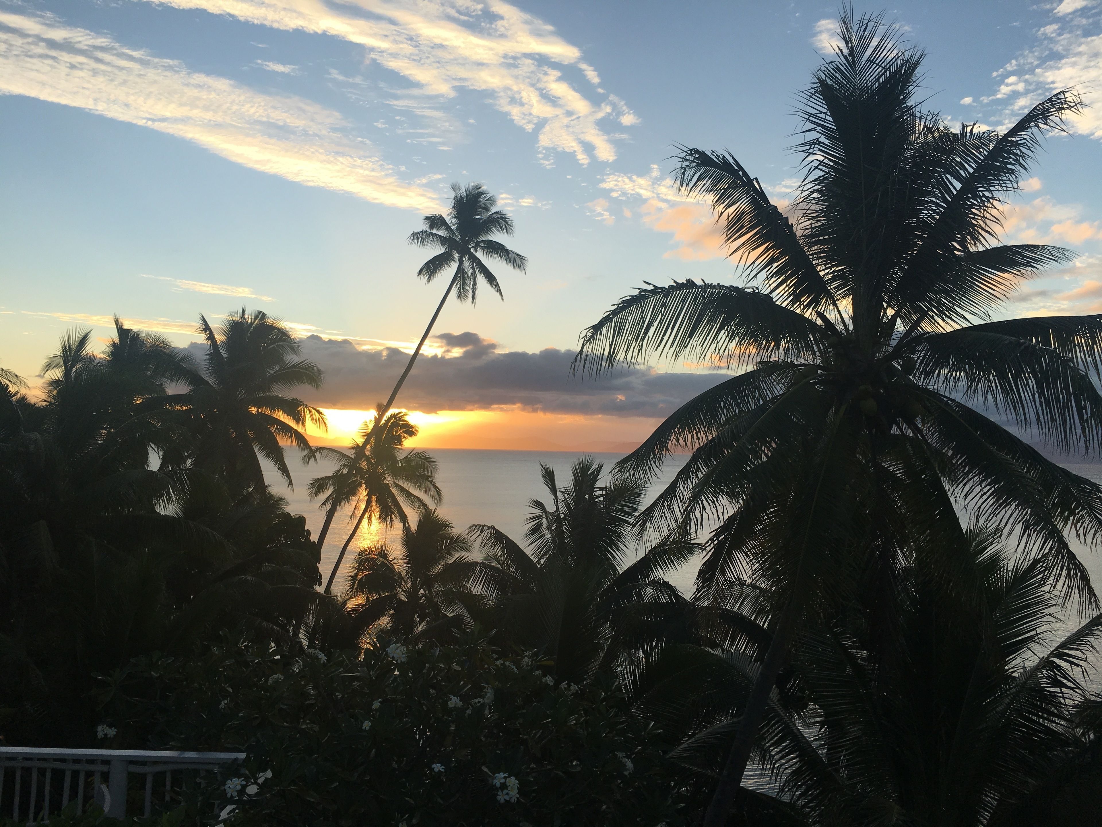 Taveuni Palms Resort
