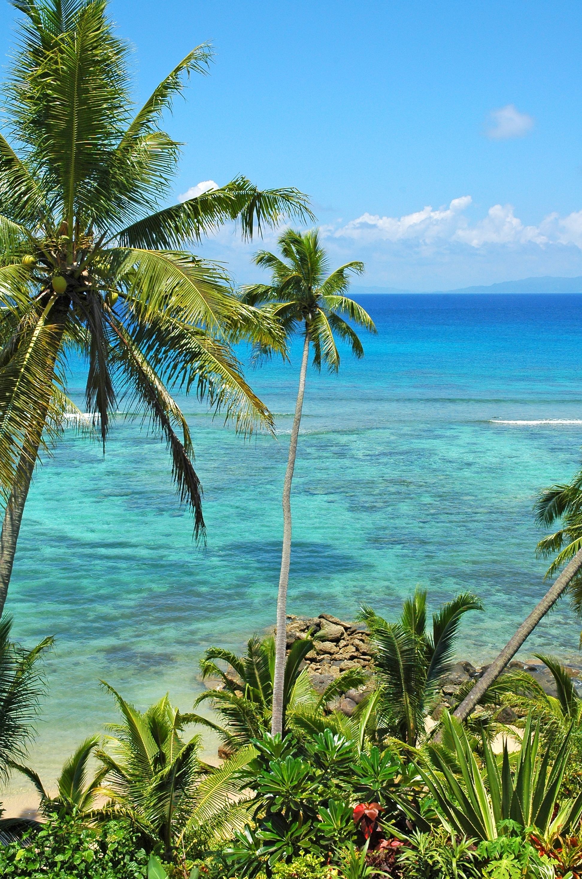 Taveuni Palms Resort