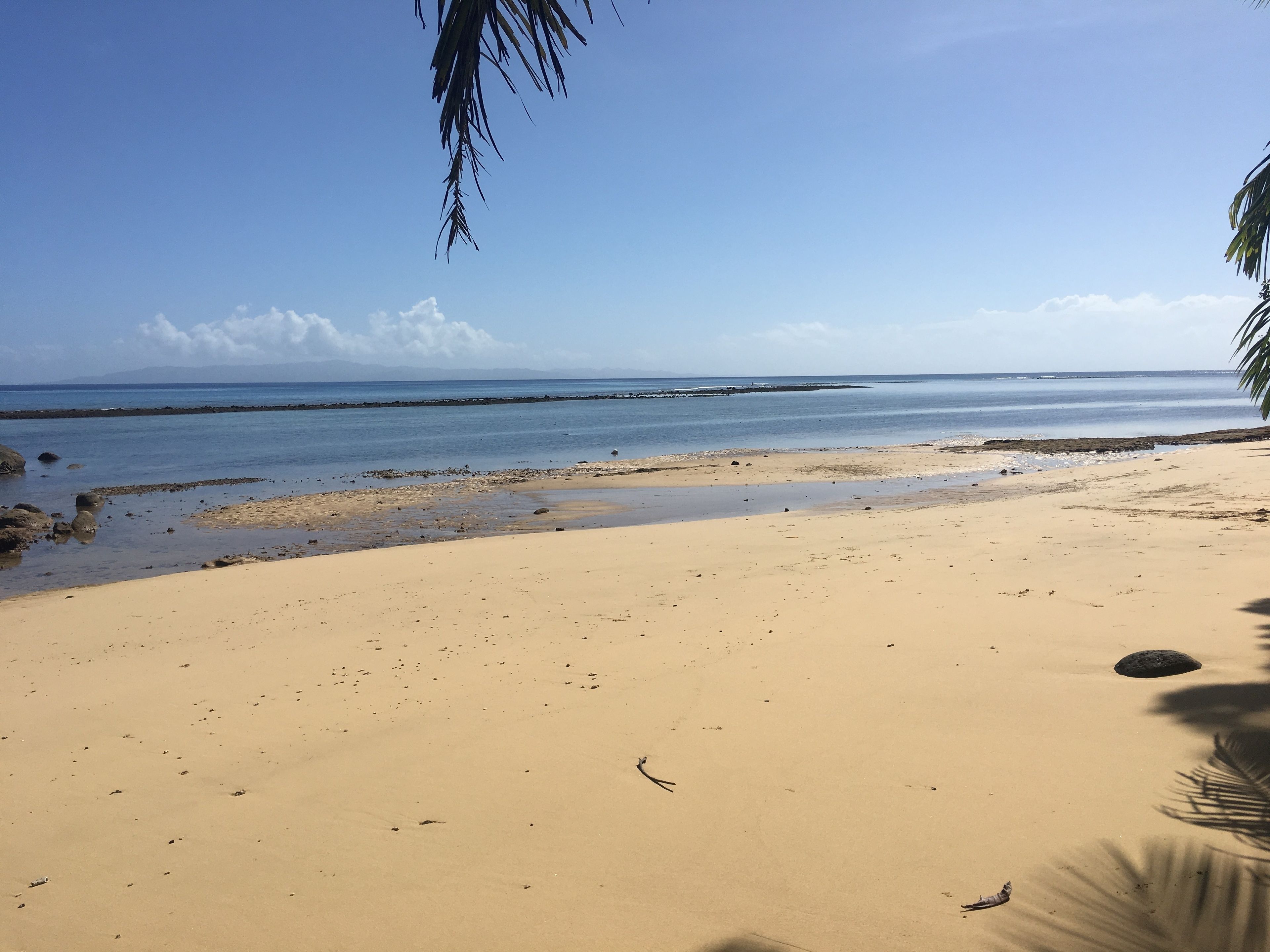 Taveuni Palms Resort