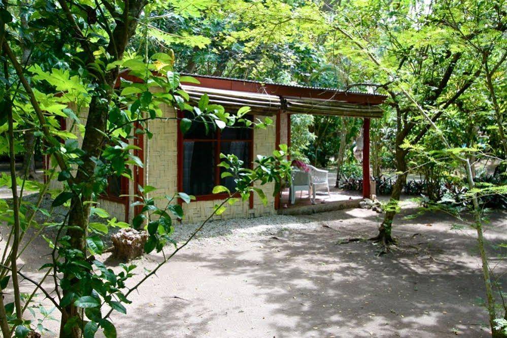 Dolphin Bay Divers Retreat