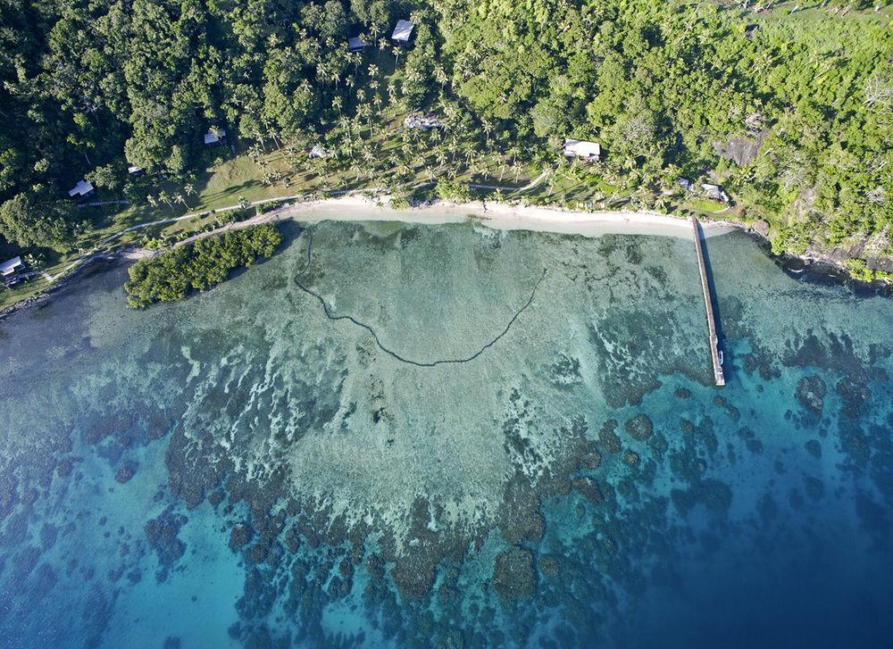 The Remote Resort