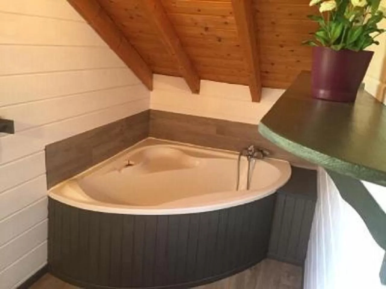 Chalet Le Roncing