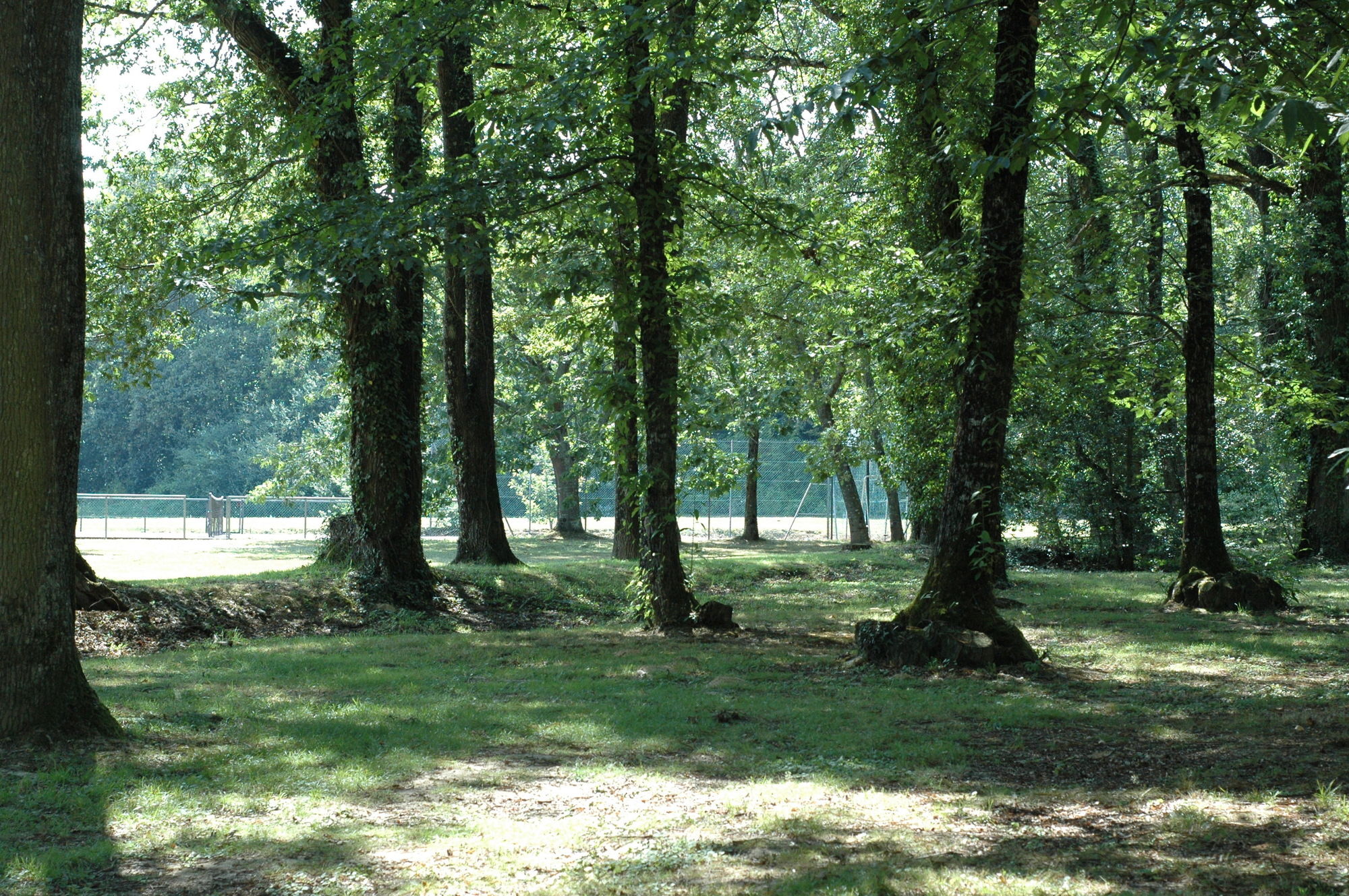 Best Western Le Bois De La Marche