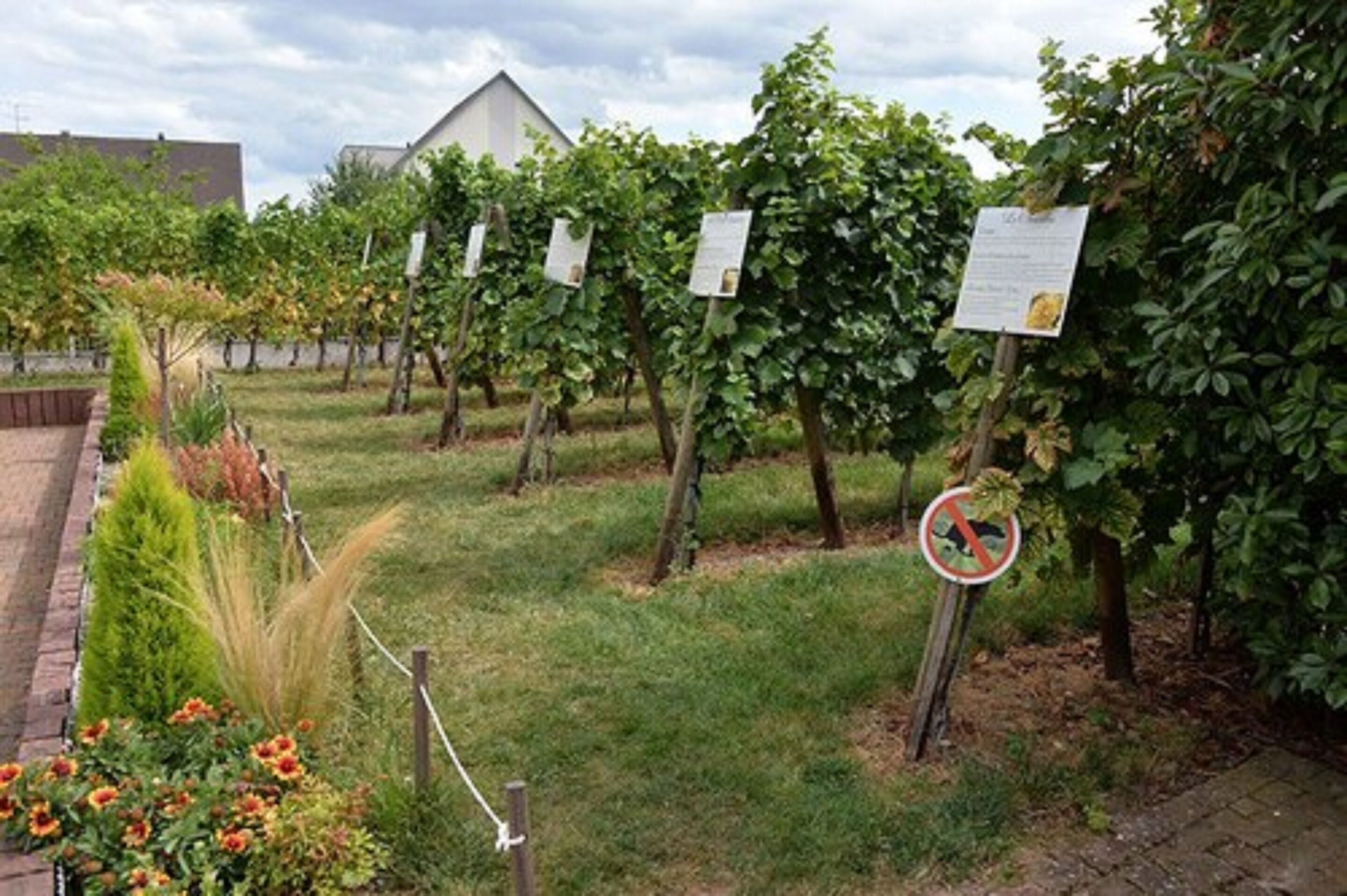 Domaine Pierre Adam