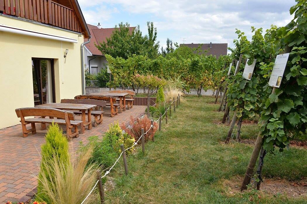 Domaine Pierre Adam