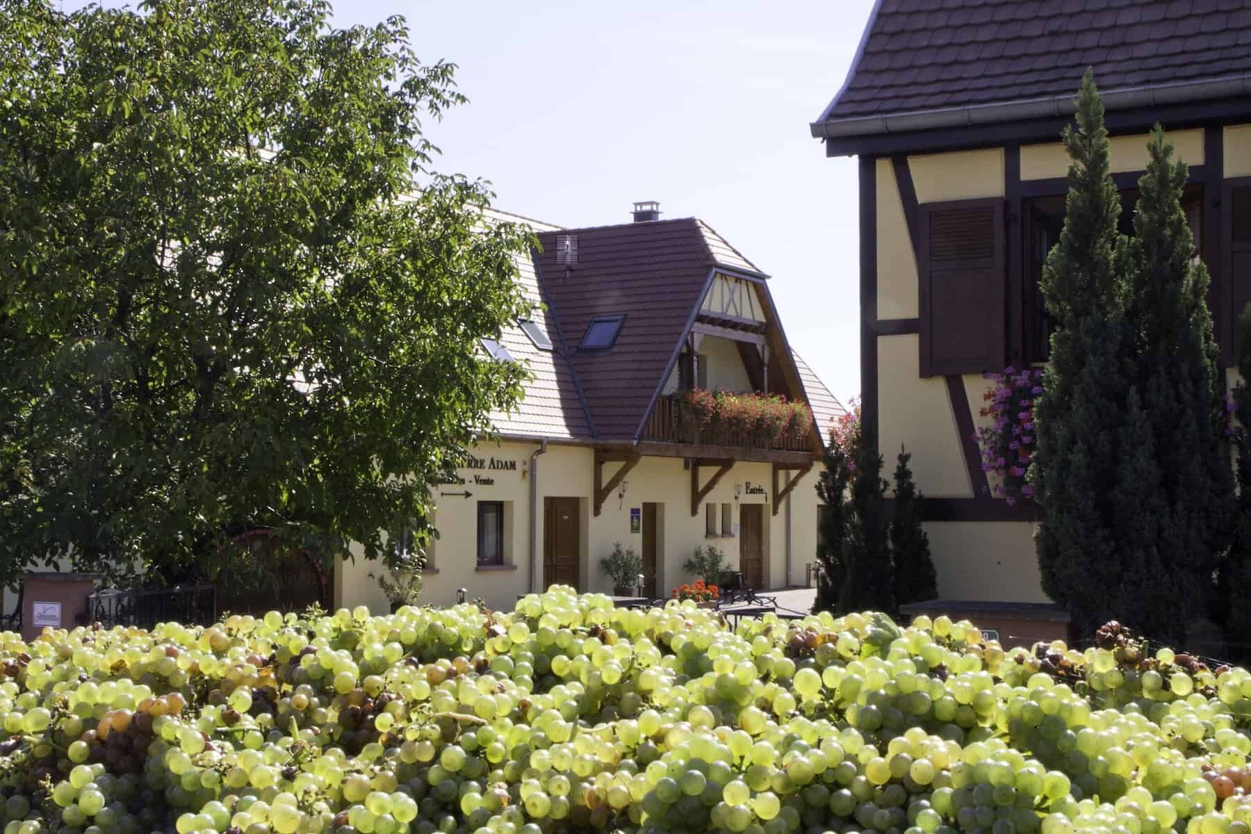 Domaine Pierre Adam