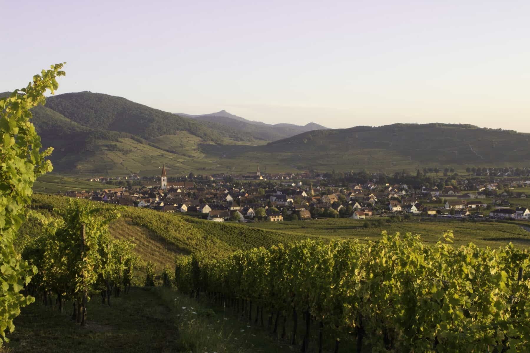 Domaine Pierre Adam