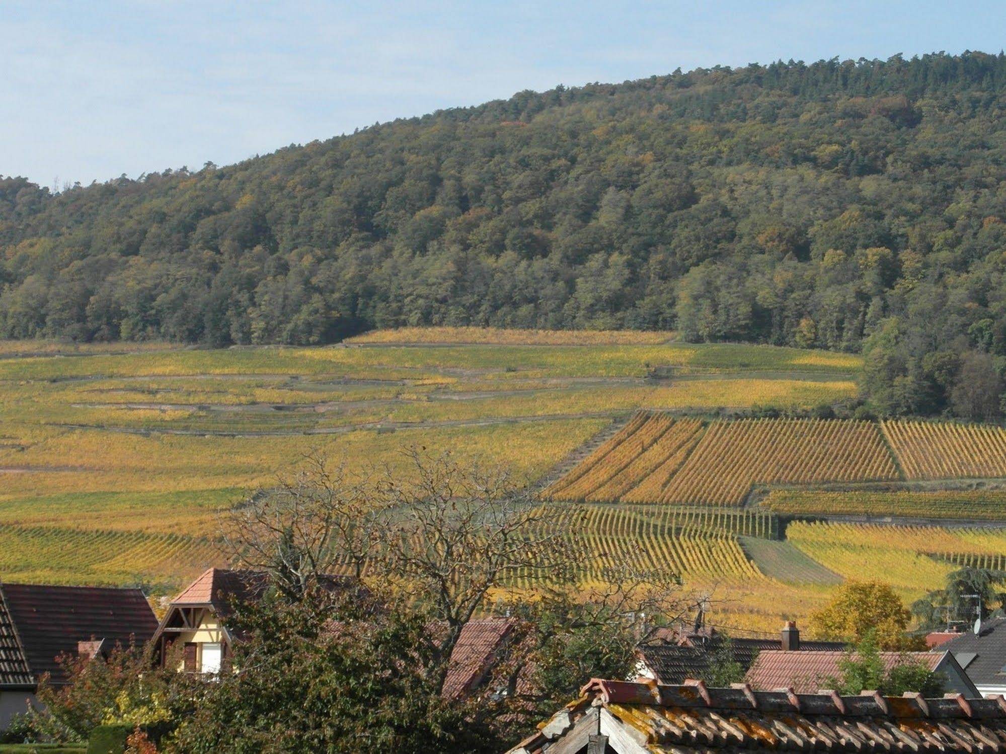 Gîte Halmer