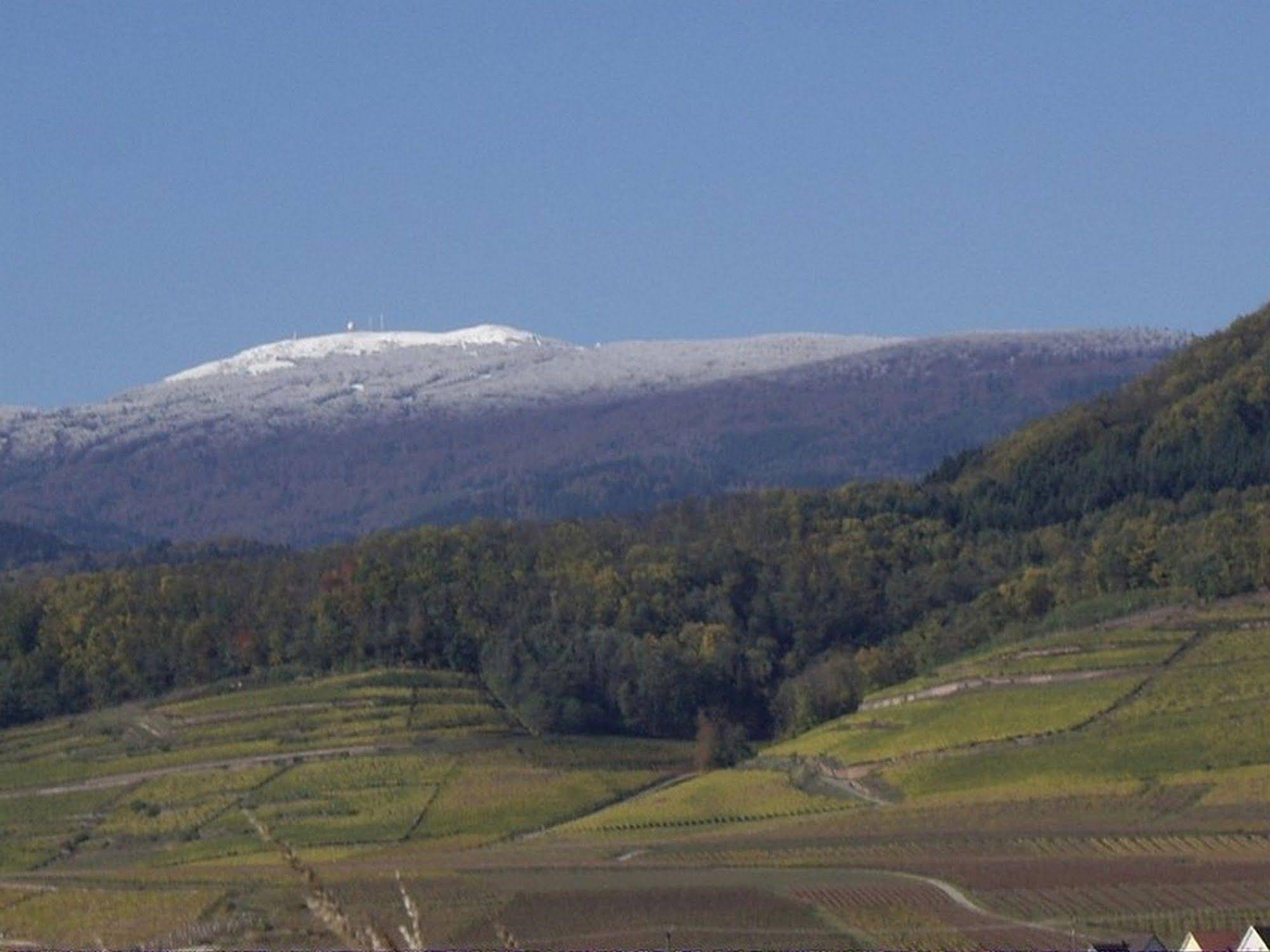 Gîte Halmer