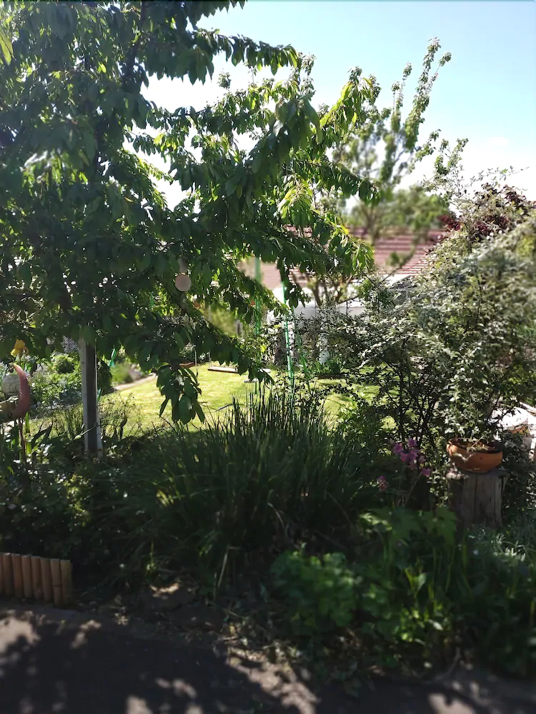 Joli Gite Proche Strasbourg