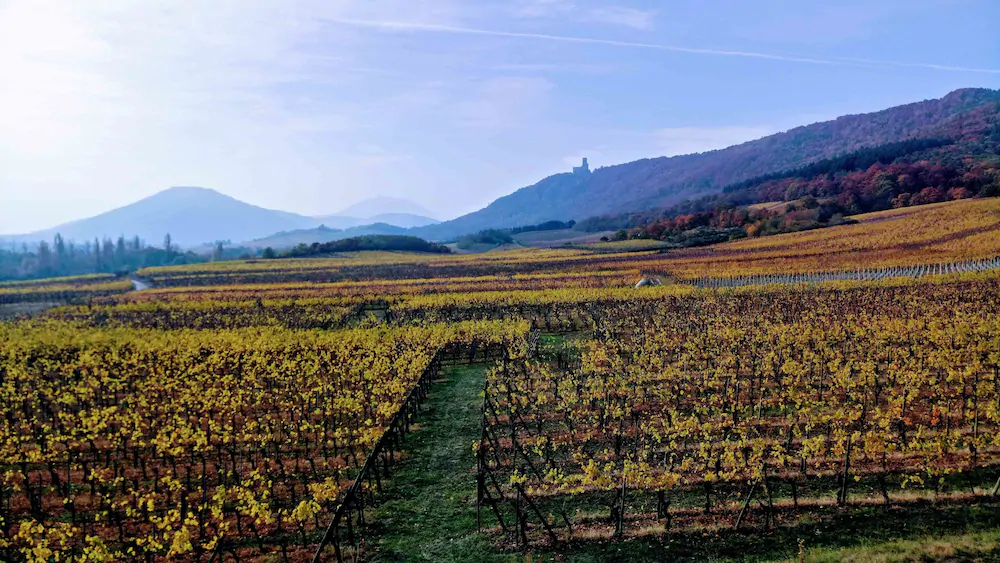 Le Vieux Pressoir