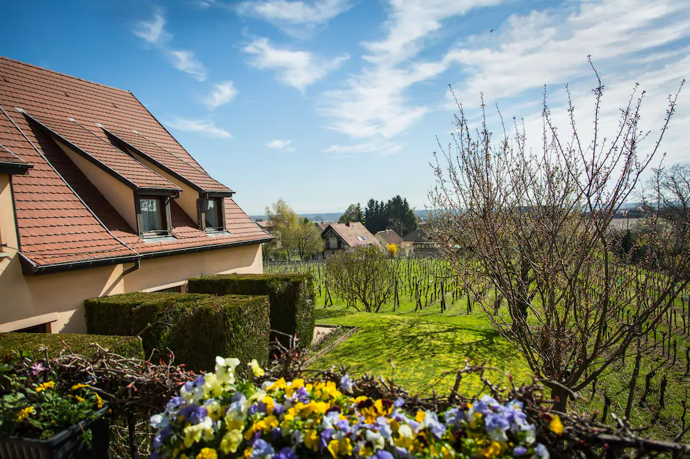 James Vignoble Hotel Eguisheim