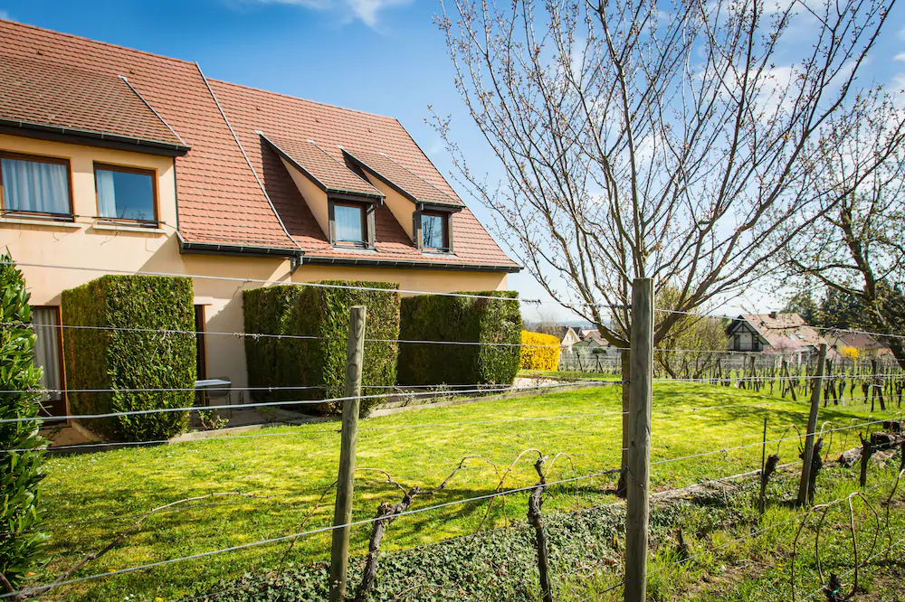 James Vignoble Hotel Eguisheim