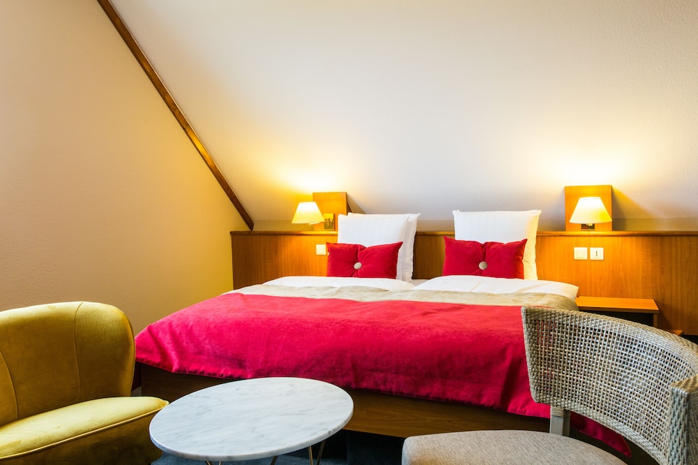 James Vignoble Hotel Eguisheim
