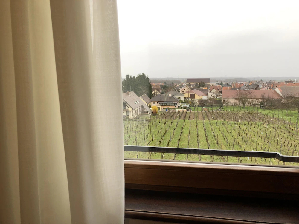 James Vignoble Hotel Eguisheim