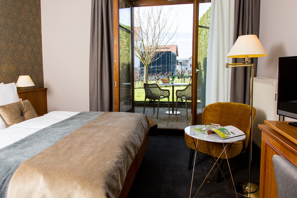 James Vignoble Hotel Eguisheim