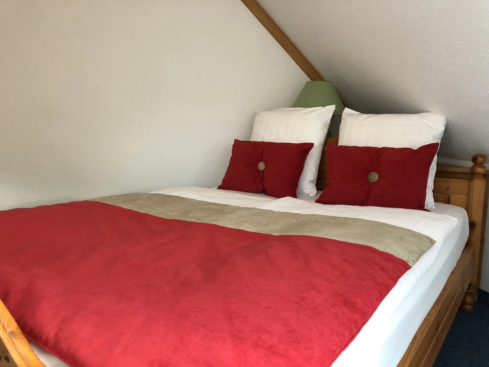 James Vignoble Hotel Eguisheim