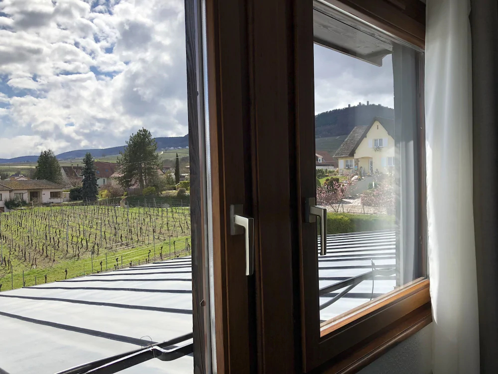 James Vignoble Hotel Eguisheim