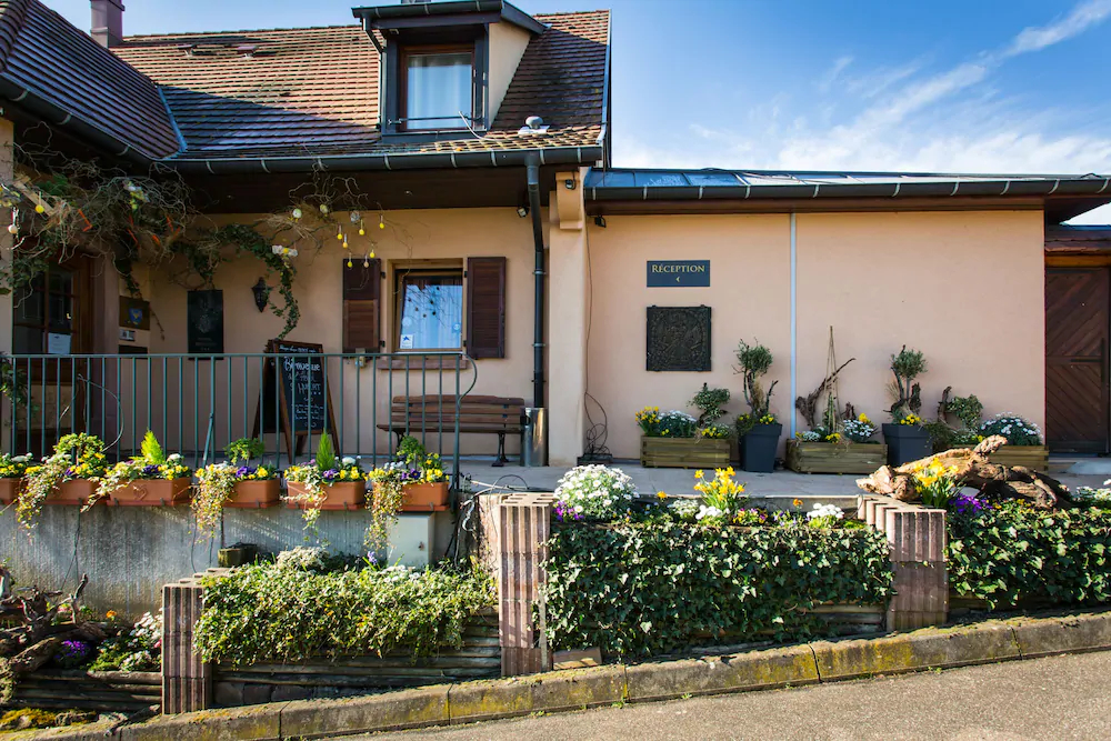 James Vignoble Hotel Eguisheim