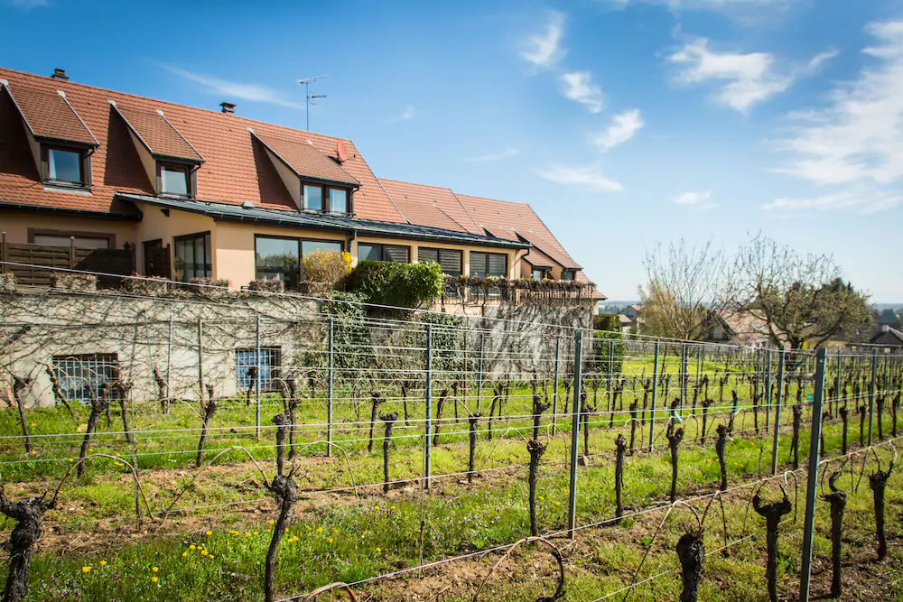 James Vignoble Hotel Eguisheim