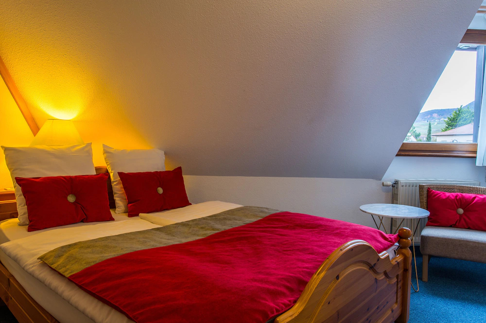 James Vignoble Hotel Eguisheim