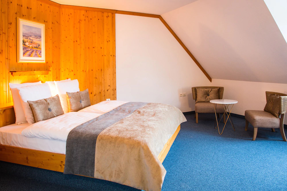 James Vignoble Hotel Eguisheim