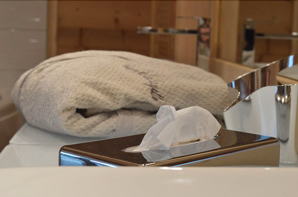 Chalet De La Royotte