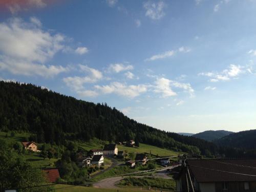 Chalet Le Roncing