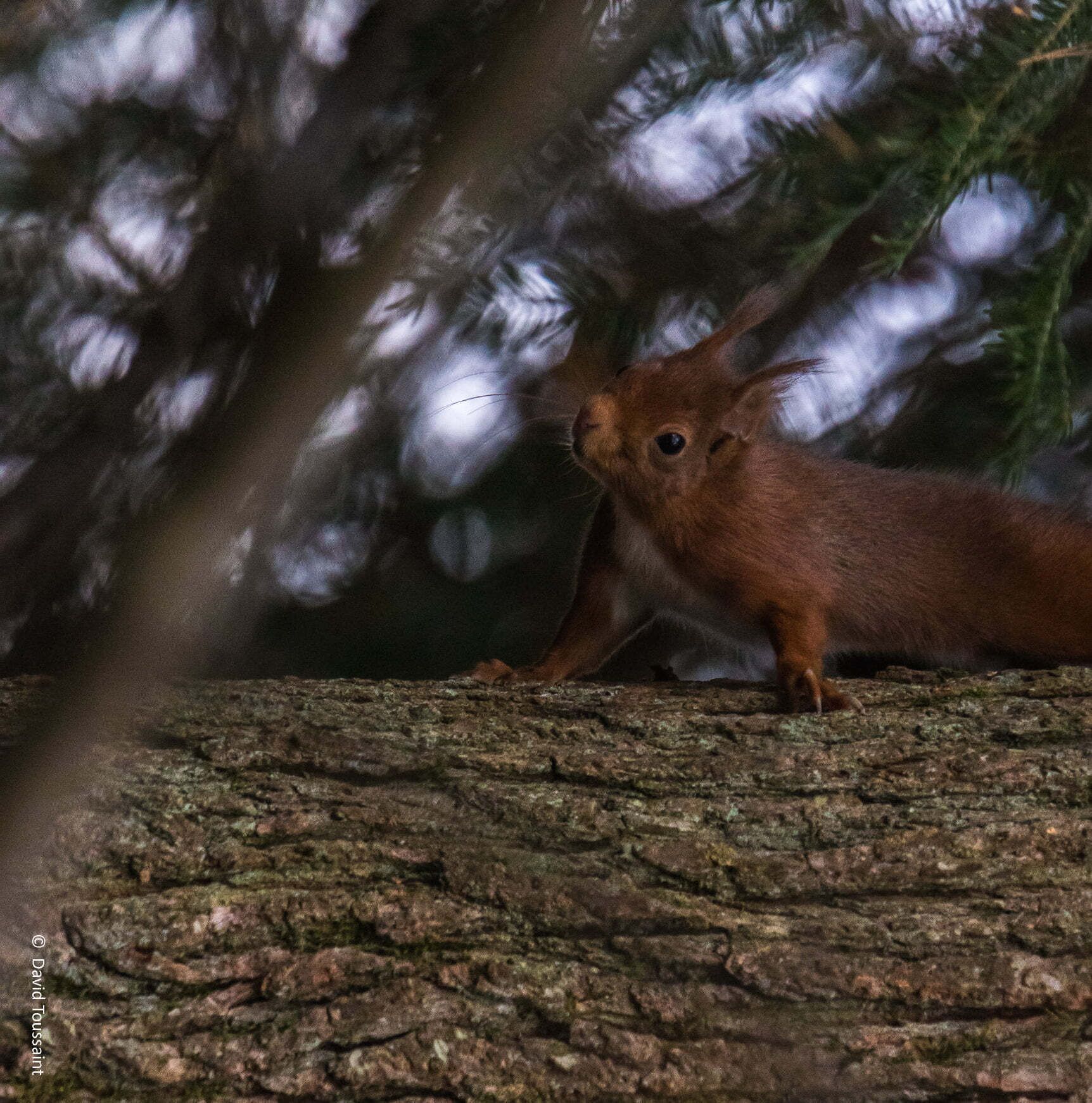 Les Chambres D'Hélène