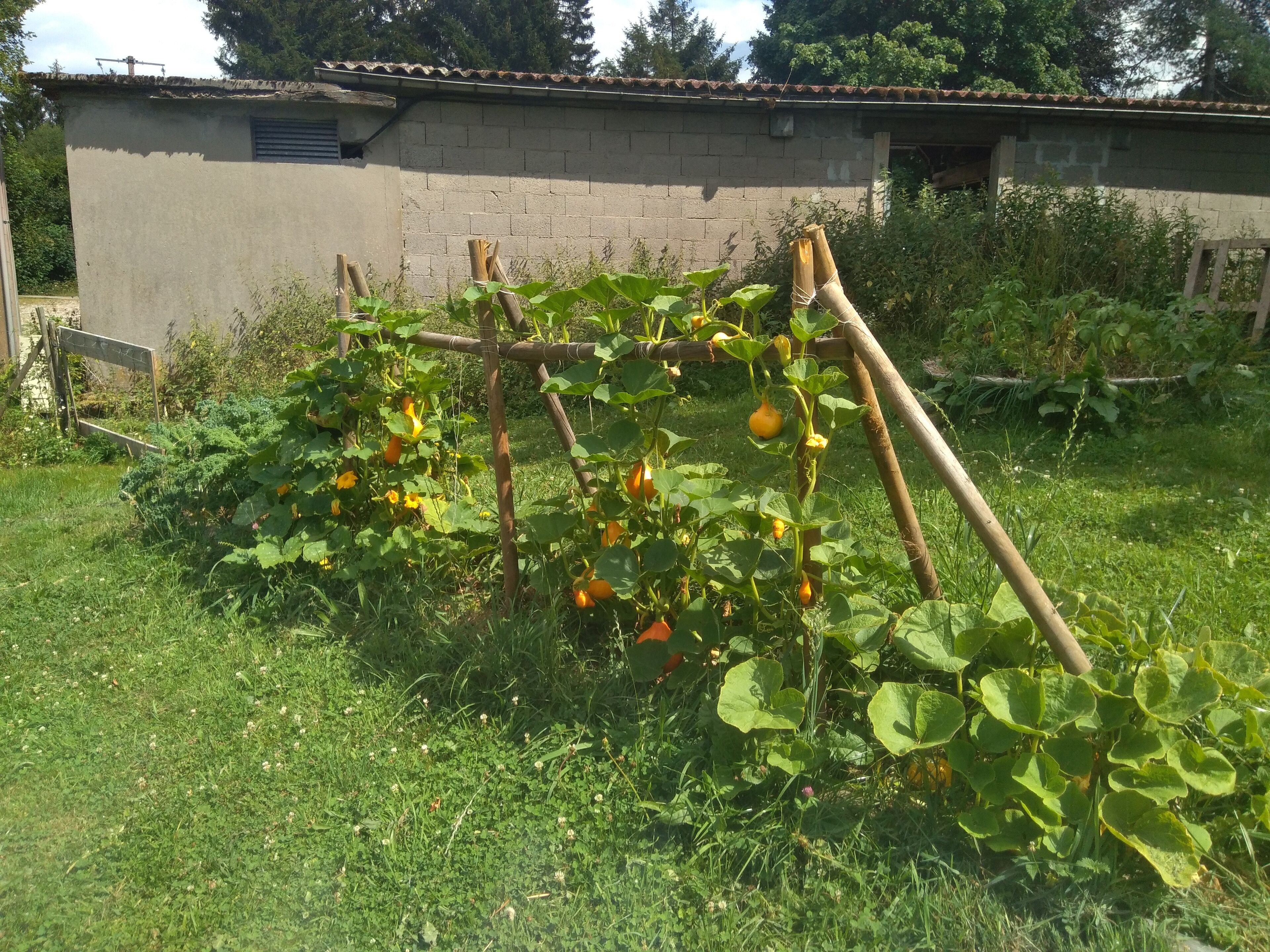 Les Chambres D'Hélène