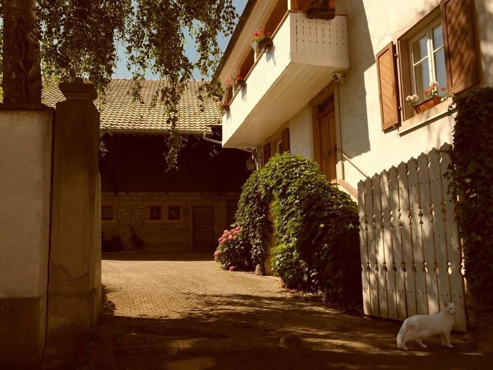 La Vieille Vigne