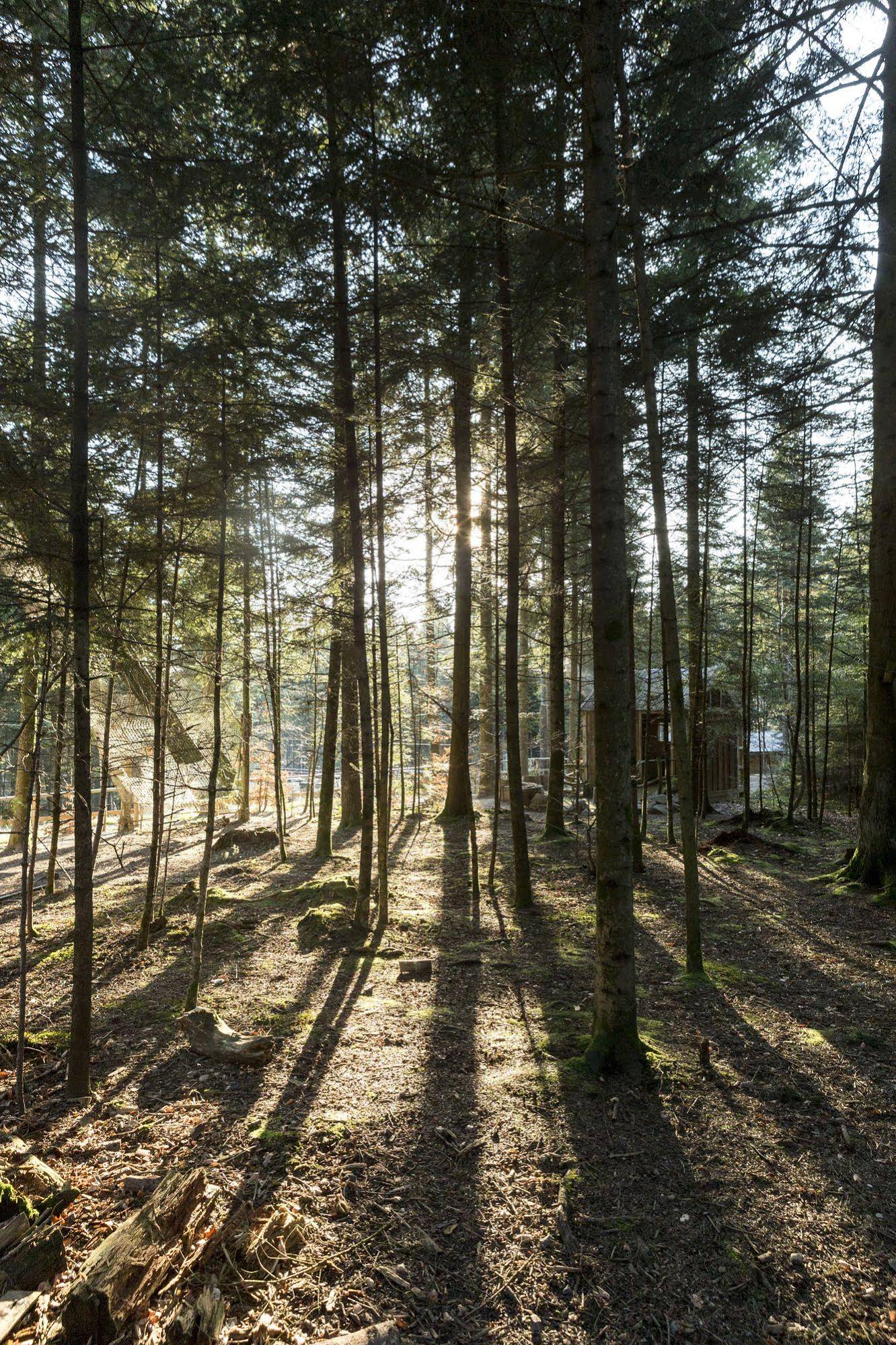 Center Parcs Les Trois Forets